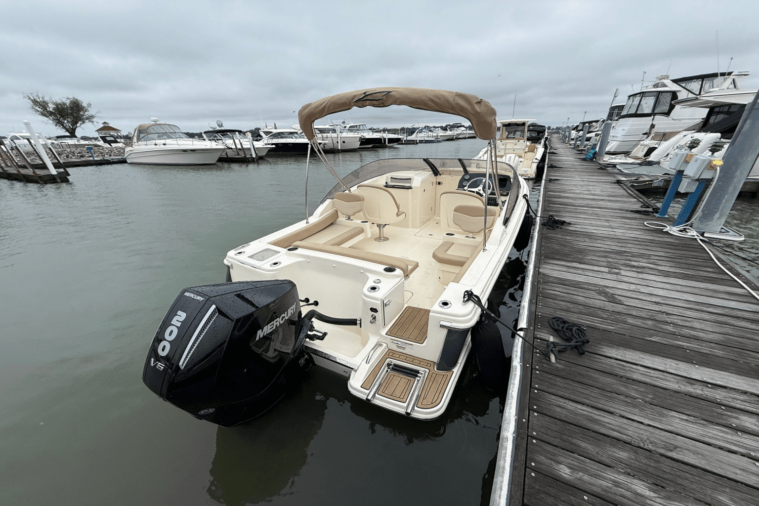 2024 Scout 215 Dorado Image Thumbnail #18