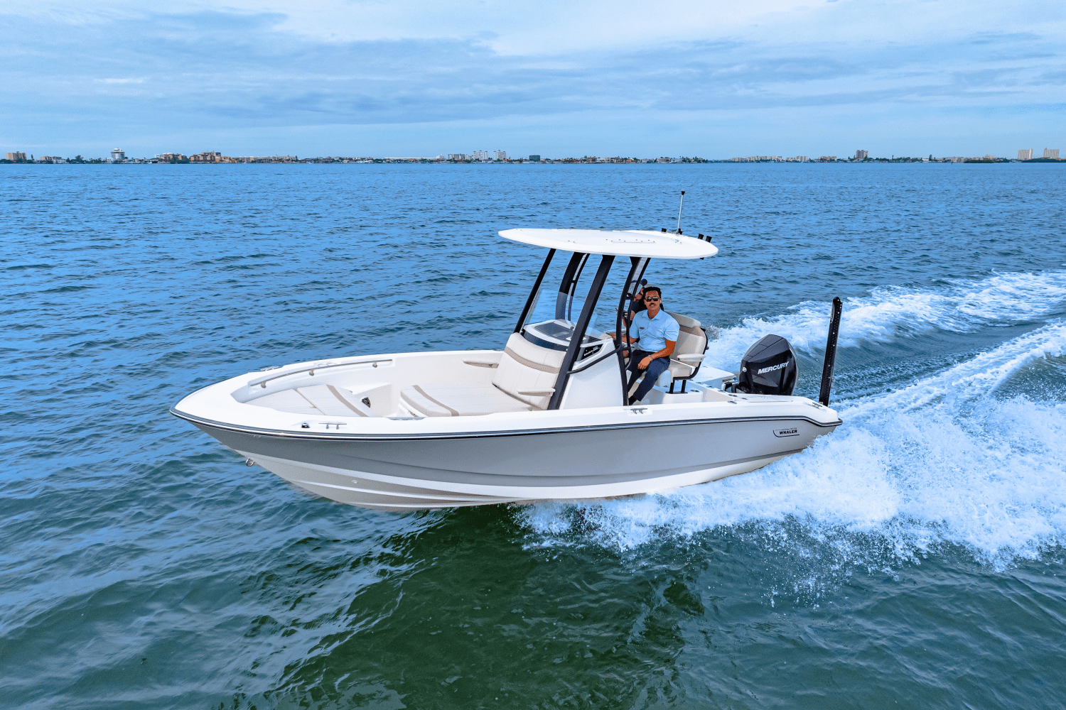 2025 Boston Whaler 220 Dauntless Image Thumbnail #25