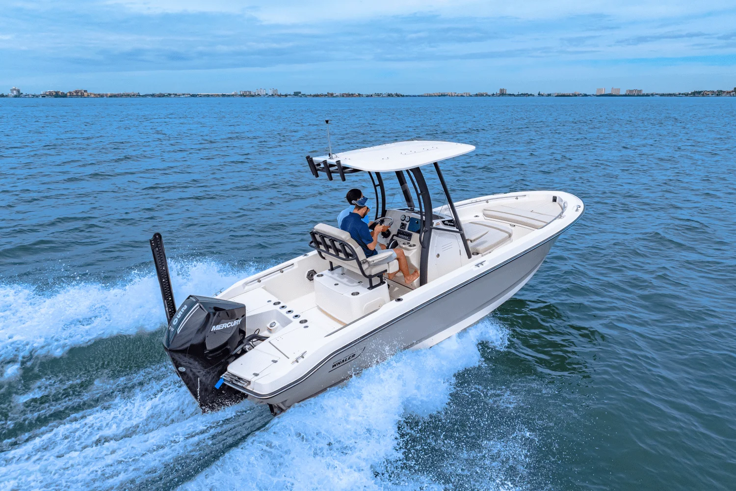 2025 Boston Whaler 220 Dauntless Image Thumbnail #27