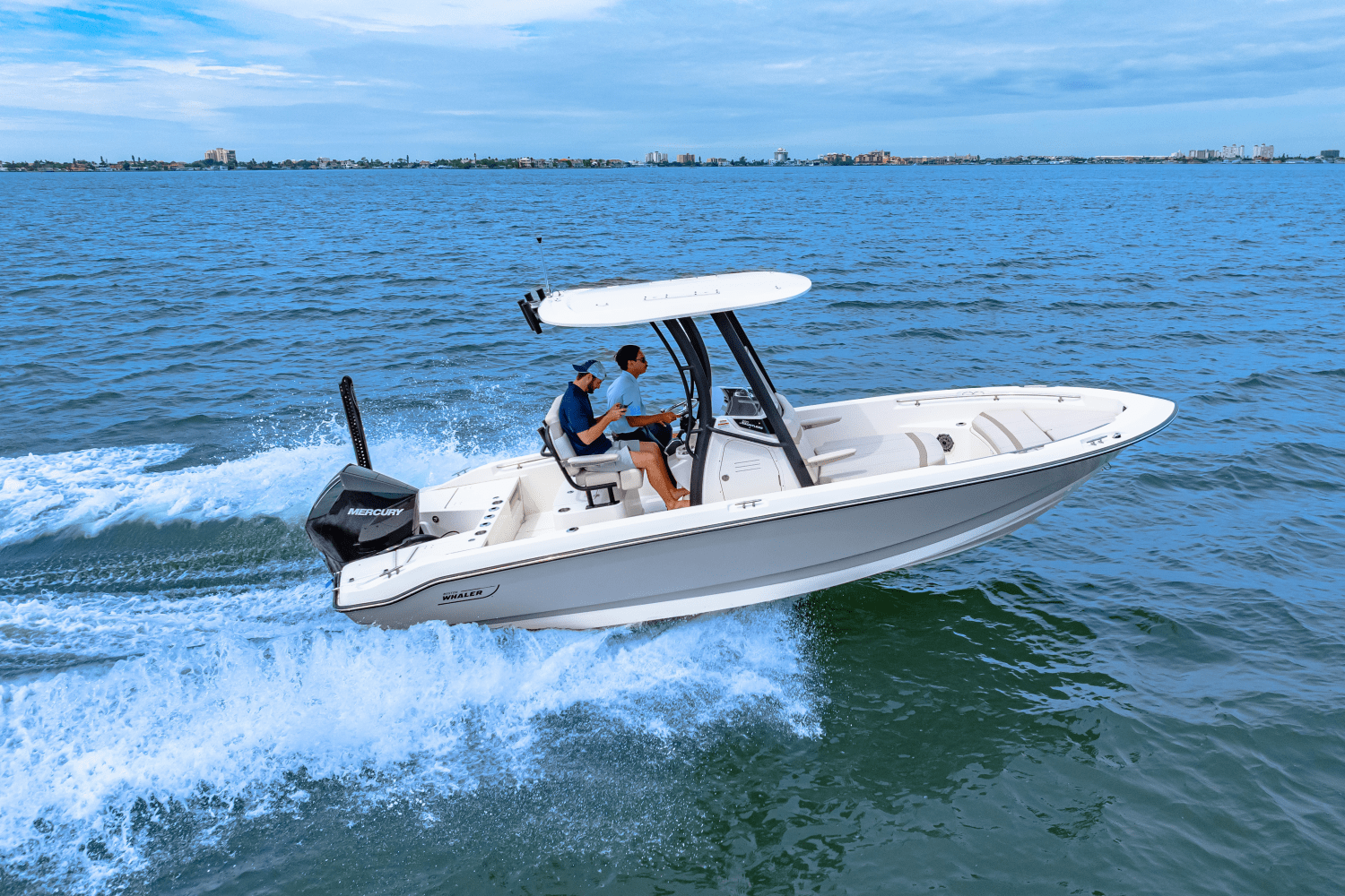 2025 Boston Whaler 220 Dauntless Image Thumbnail #28