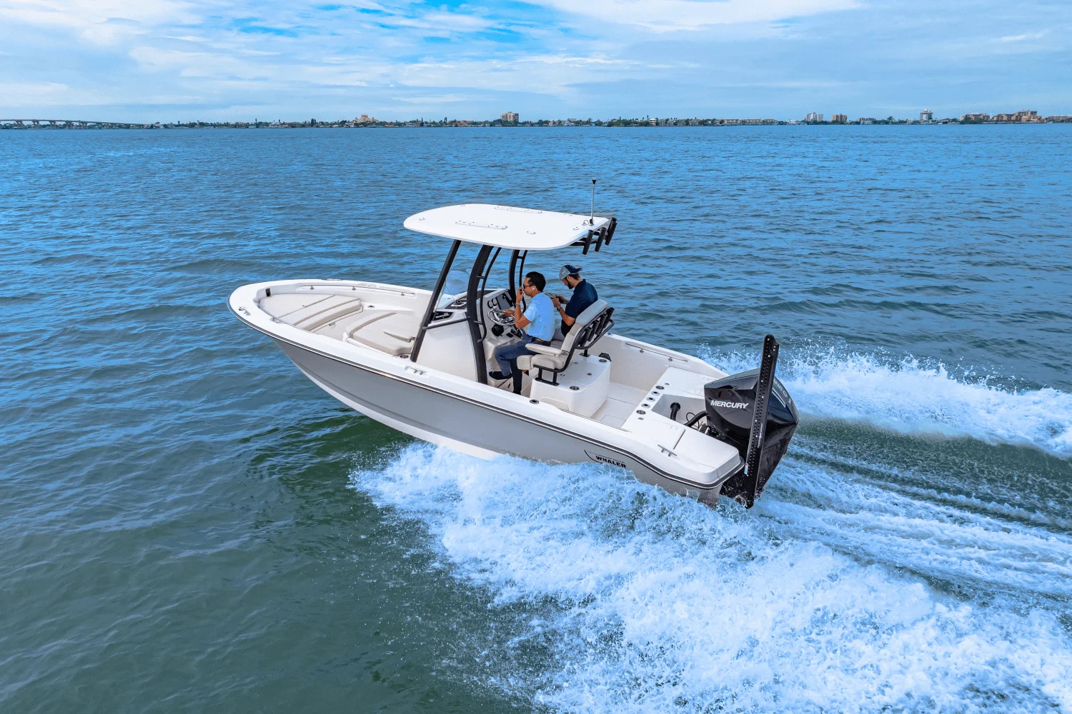 2025 Boston Whaler 220 Dauntless Image Thumbnail #24