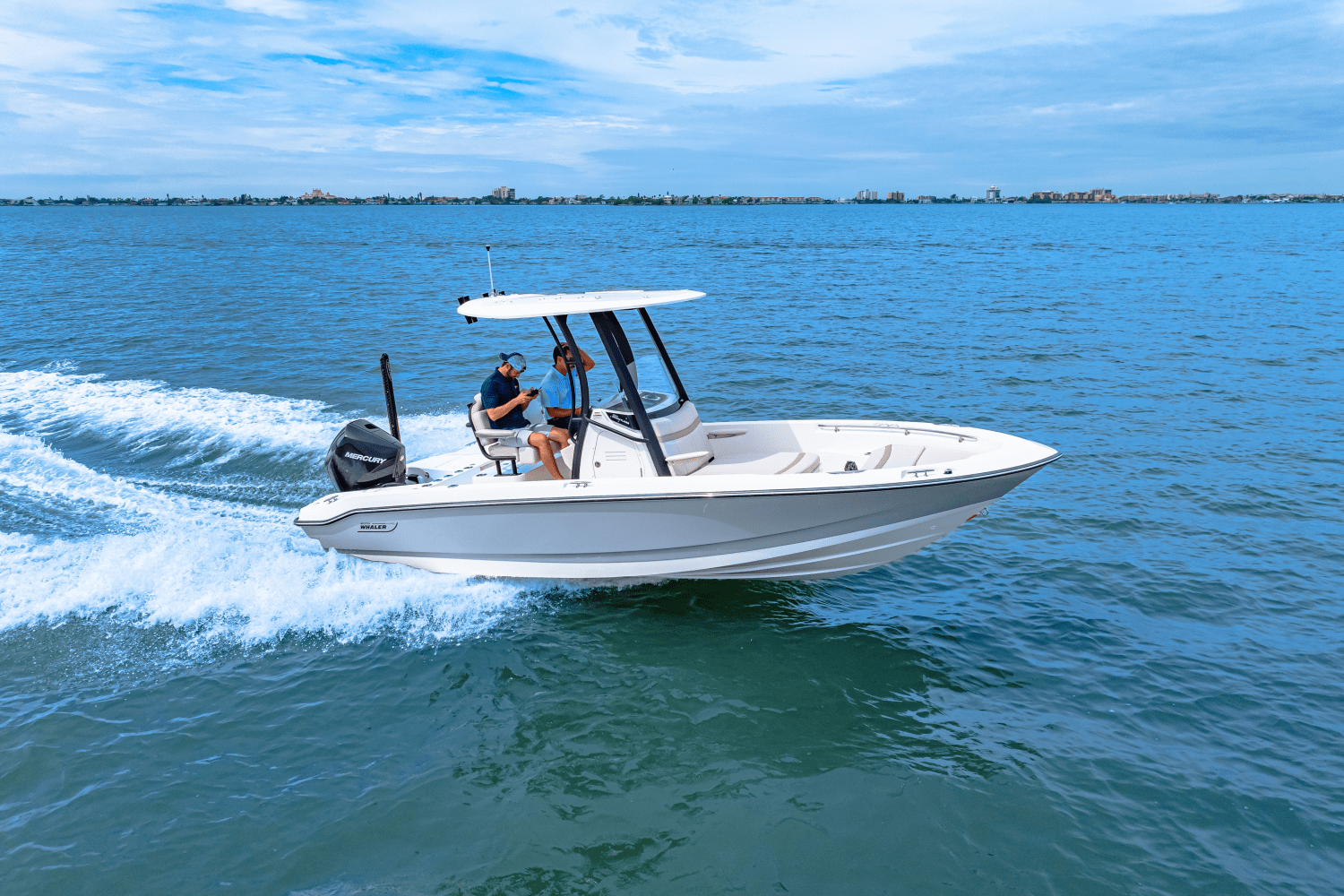 2025 Boston Whaler 220 Dauntless Image Thumbnail #20
