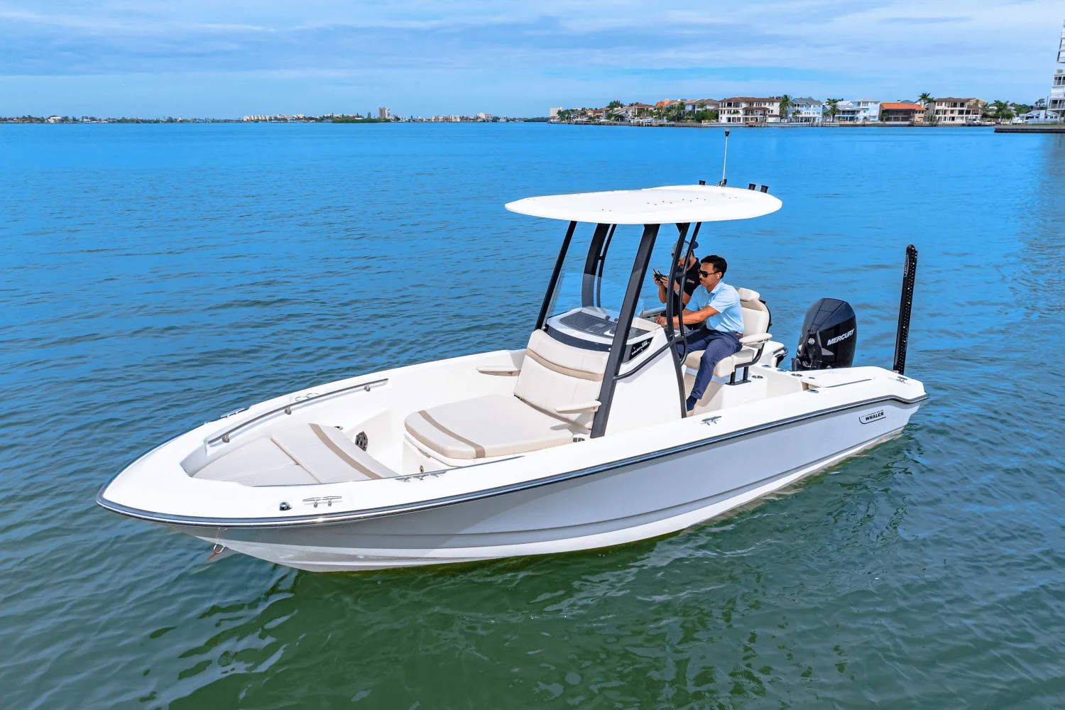 2025 Boston Whaler 220 Dauntless Image Thumbnail #2