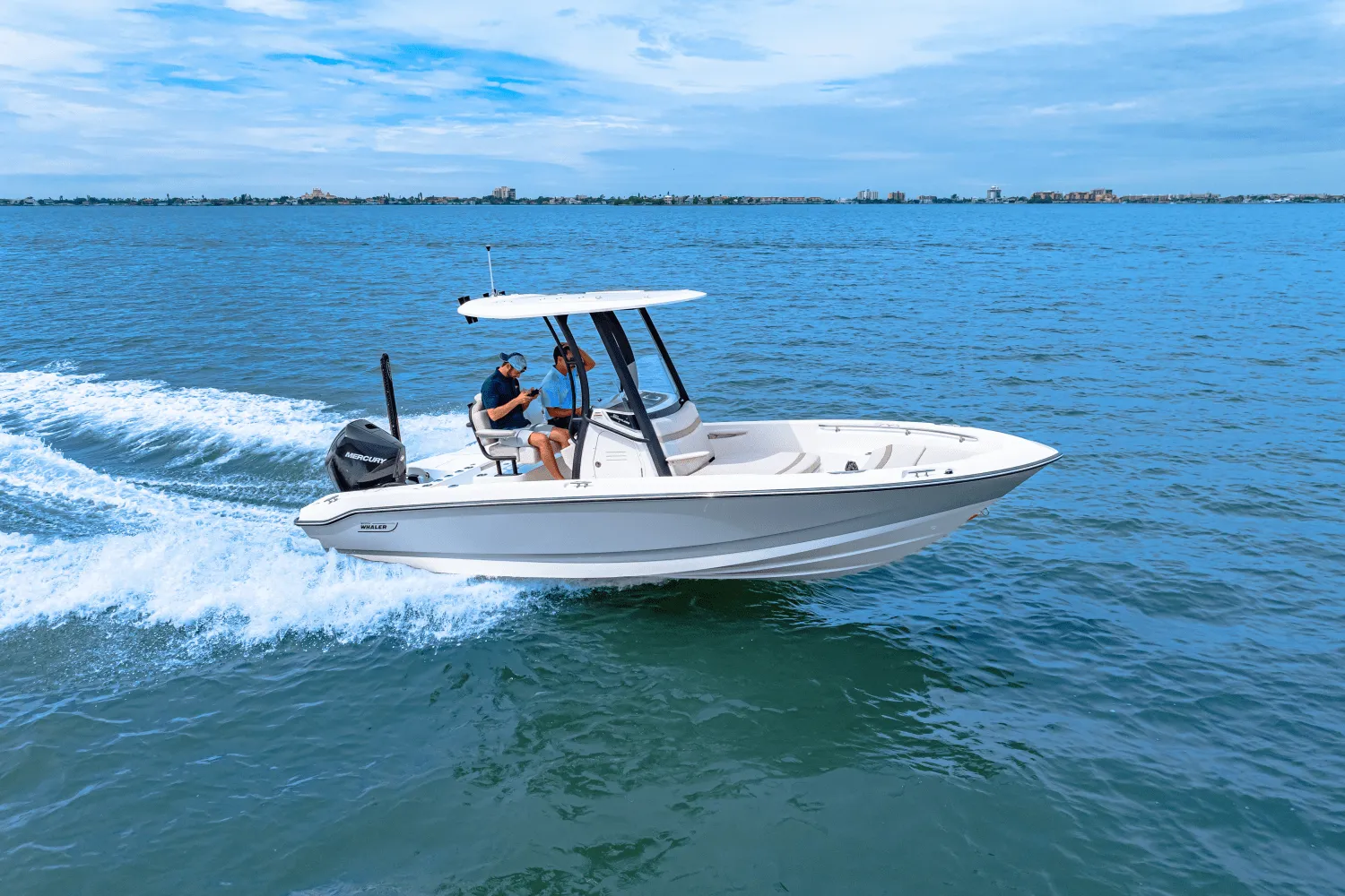 2025 Boston Whaler 220 Dauntless Image Thumbnail #20