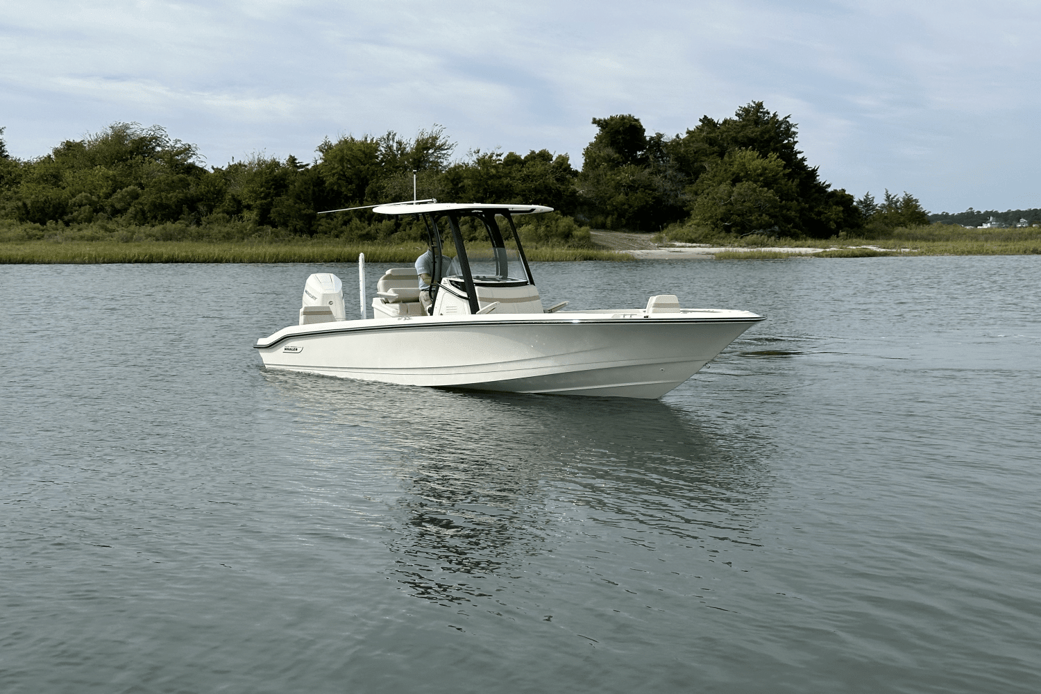 2025 Boston Whaler 250 Dauntless Image Thumbnail #2