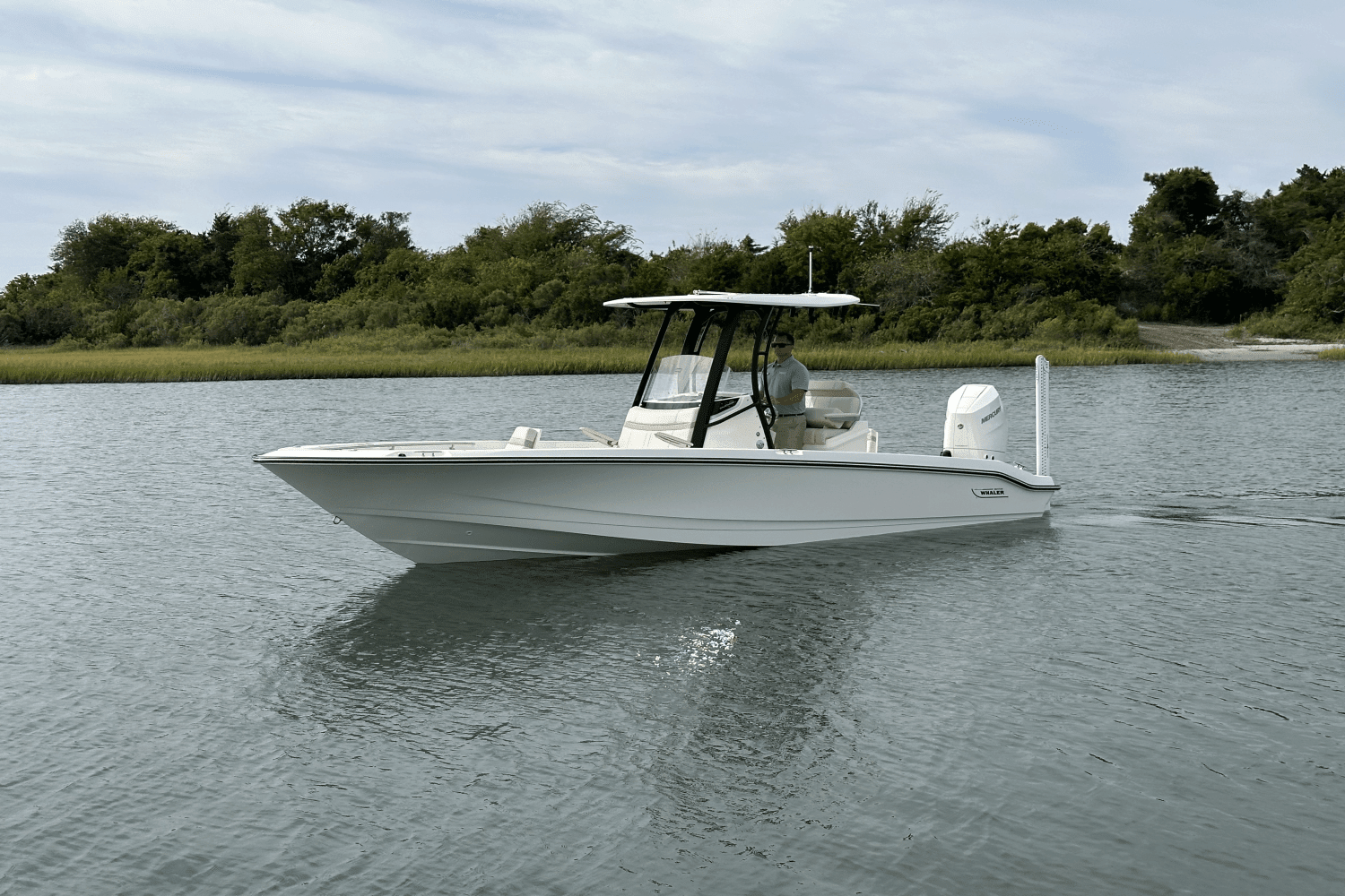 2025 Boston Whaler 250 Dauntless Image Thumbnail #4