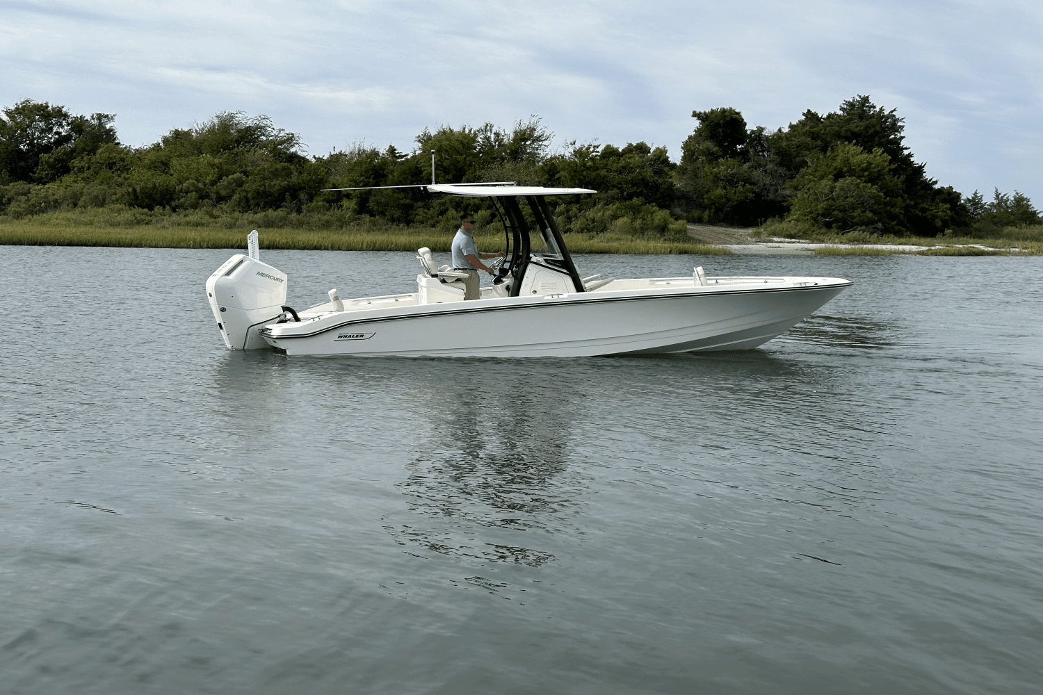 2025 Boston Whaler 250 Dauntless Image Thumbnail #1