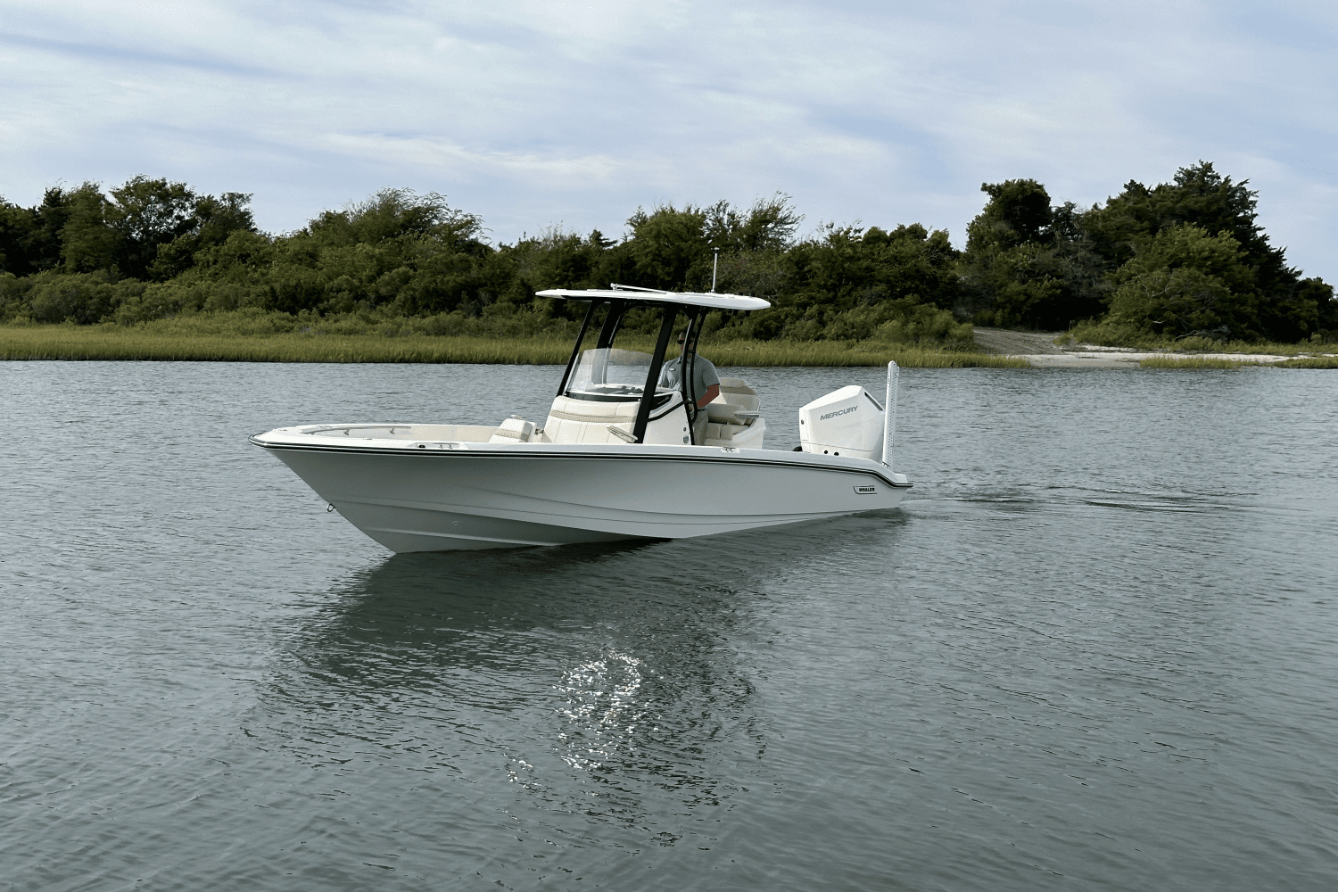 2025 Boston Whaler 250 Dauntless Image Thumbnail #5