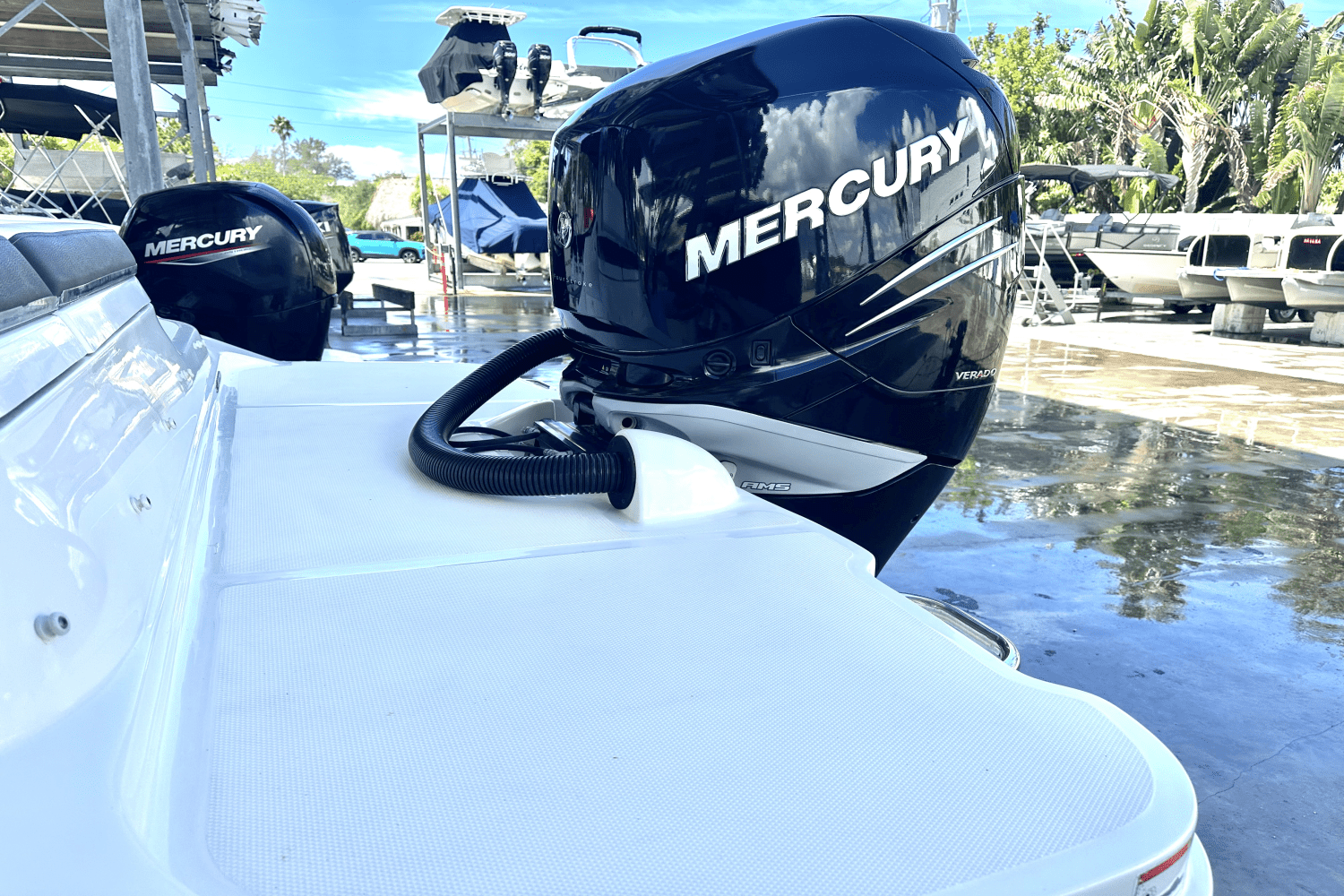 2019 Sea Ray 270 SDX OUTBOARD Image Thumbnail #6