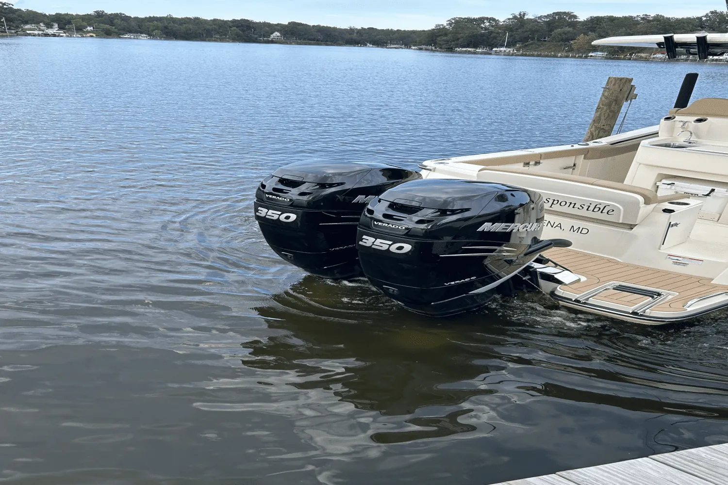 2023 Scout 305 LXF Image Thumbnail #4