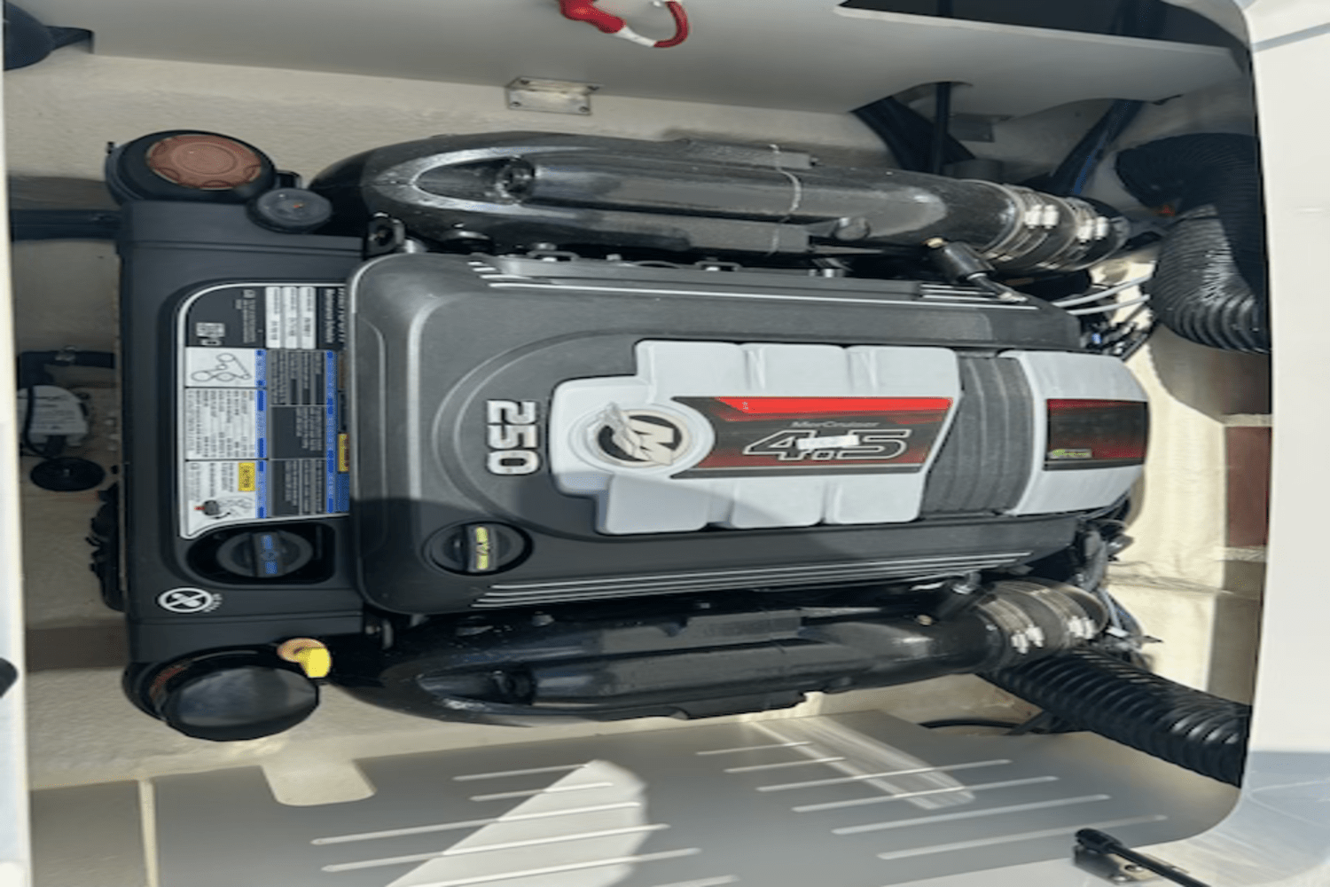 2024 Sea Ray SPX 210 Image Thumbnail #13