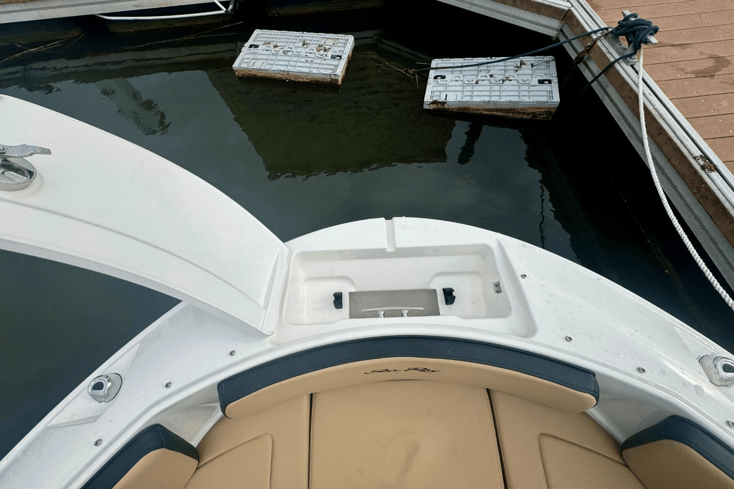2025 Sea Ray SPX 190 Outboard Image Thumbnail #24