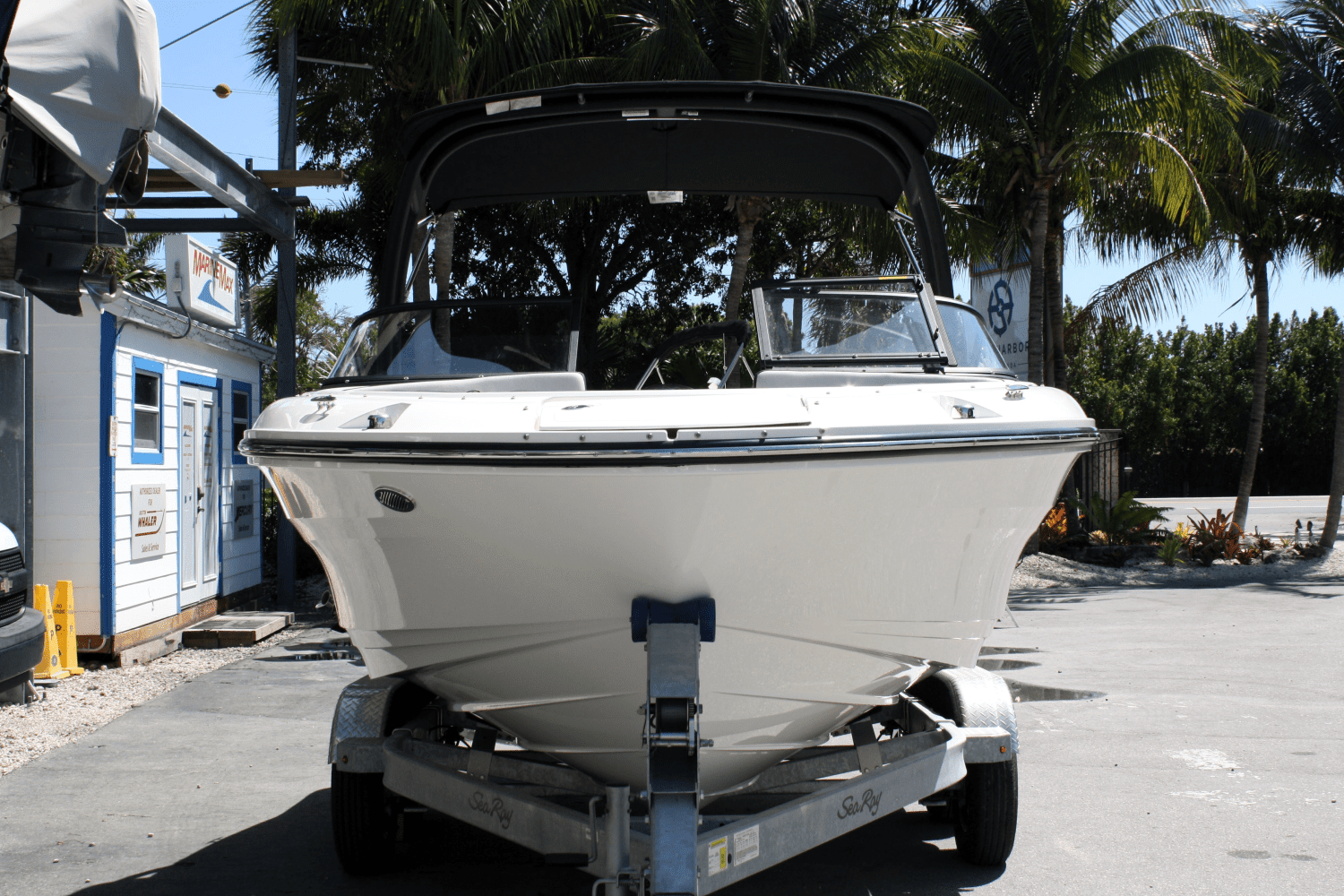 2025 Sea Ray SPX 190 Outboard Image Thumbnail #7