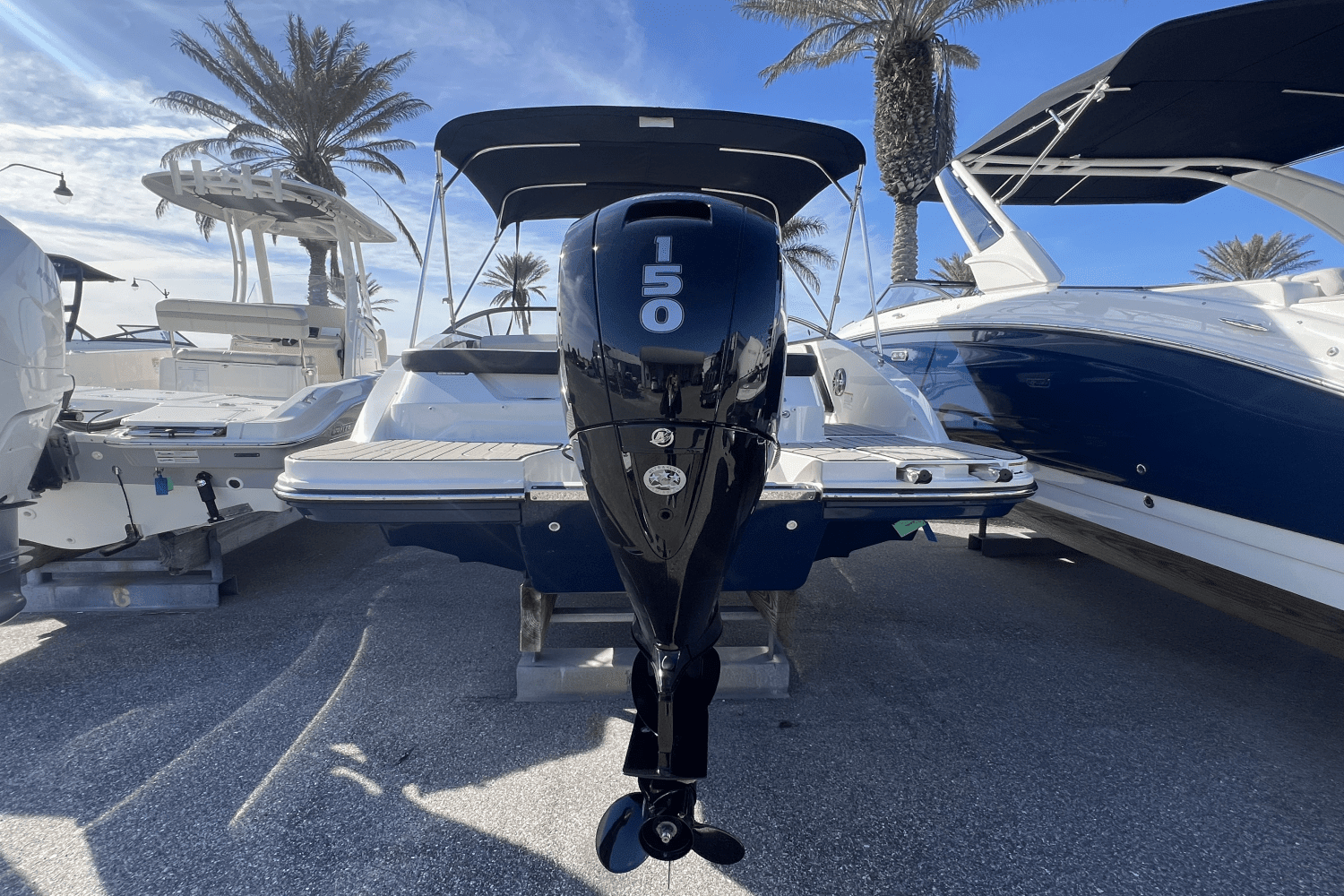 2025 Sea Ray SPX 190 Outboard Image Thumbnail #5