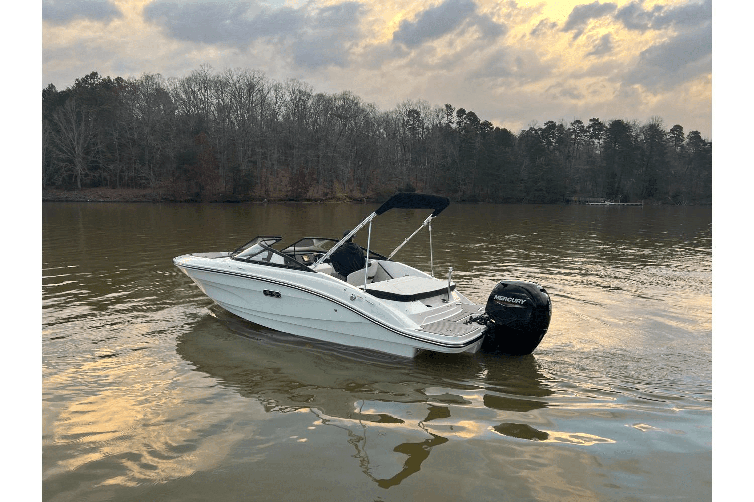 2025 Sea Ray SPX 190 Outboard Image Thumbnail #7