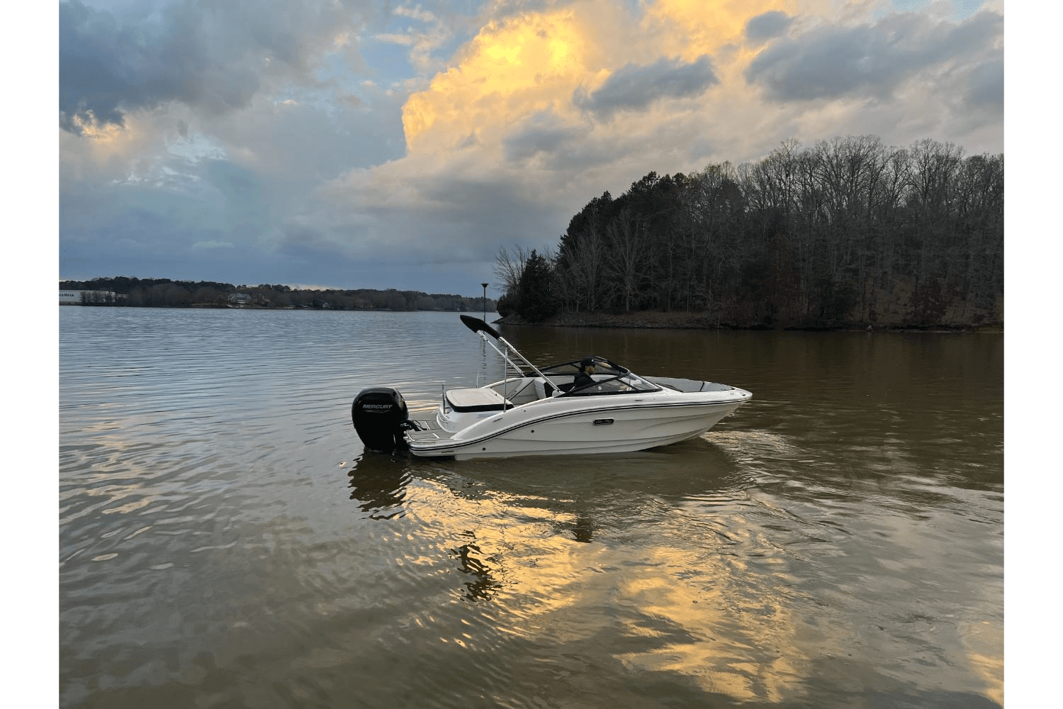 2025 Sea Ray SPX 190 Outboard Image Thumbnail #3