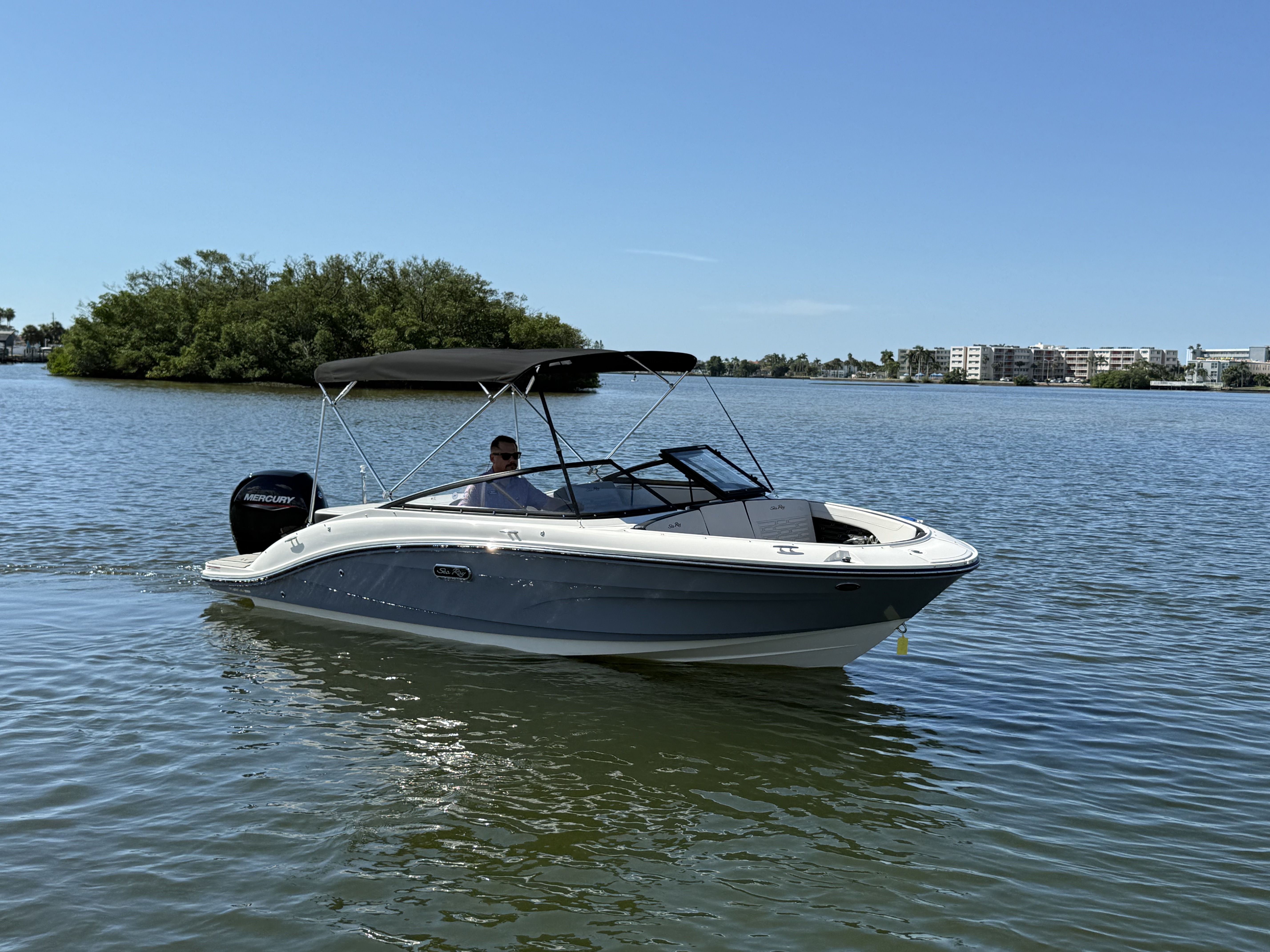 2025 Sea Ray SPX 190 Outboard Image Thumbnail #5