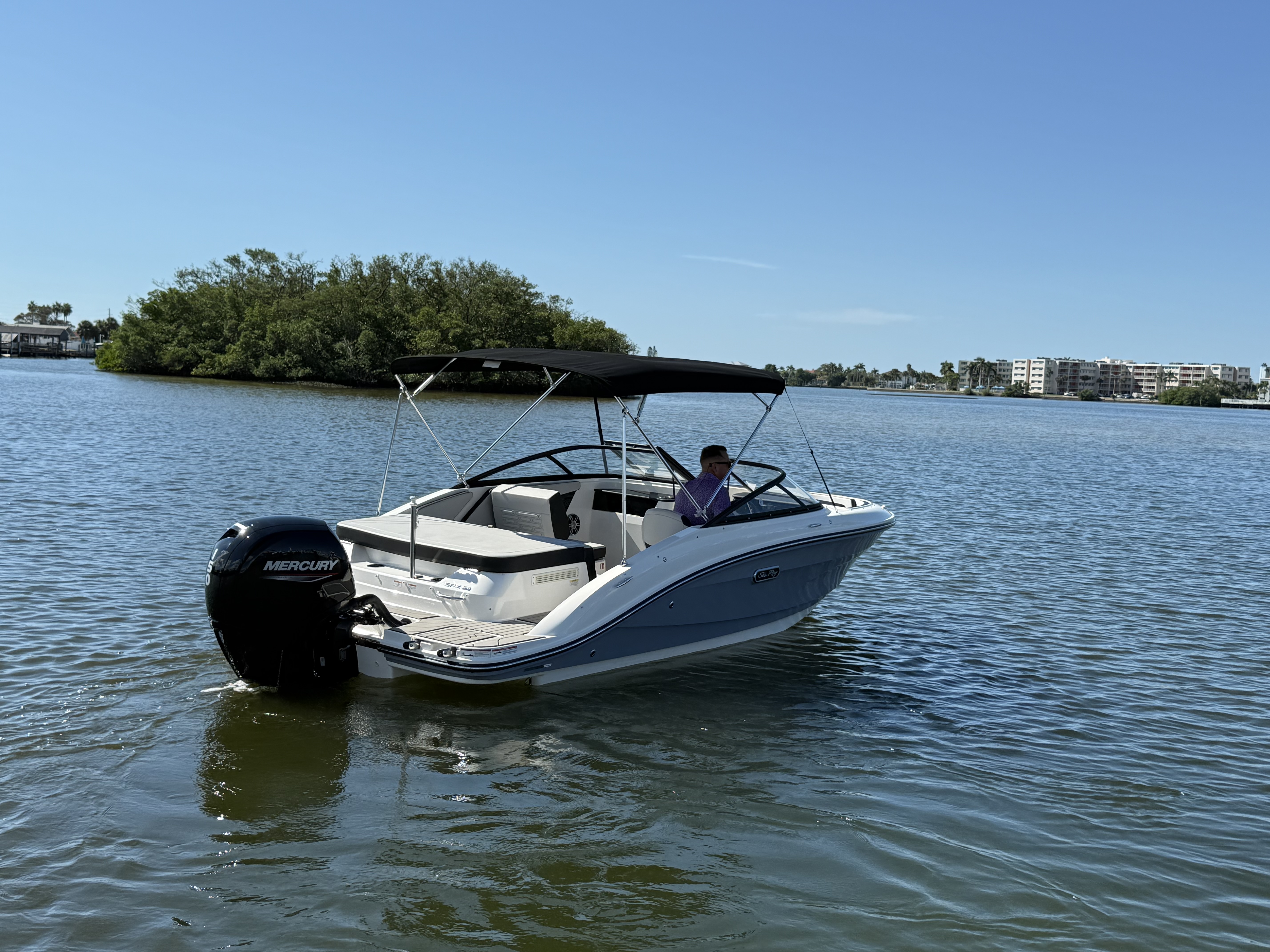 2025 Sea Ray SPX 190 Outboard Image Thumbnail #8