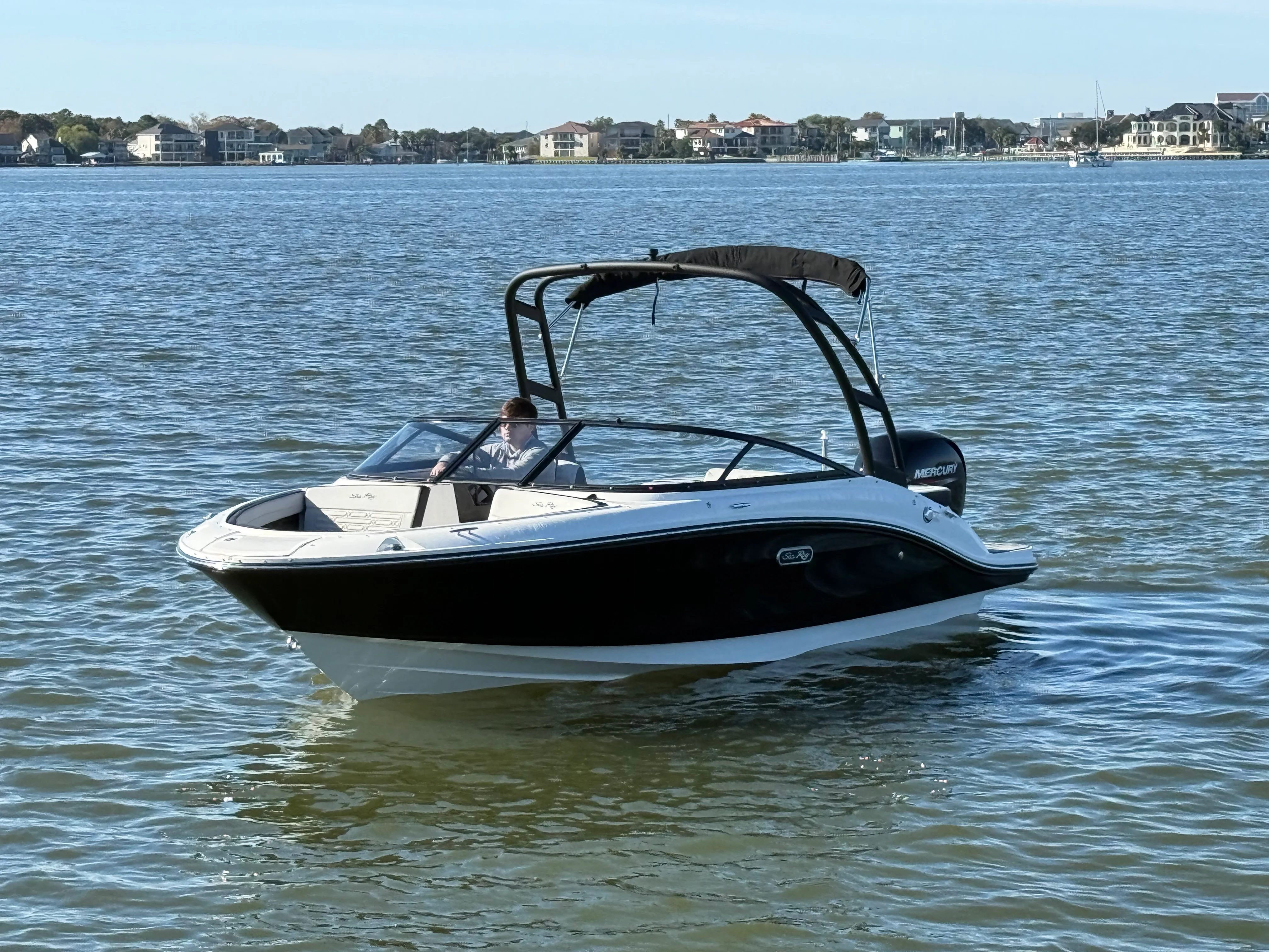 2025 Sea Ray SPX 190 Outboard Image Thumbnail #1