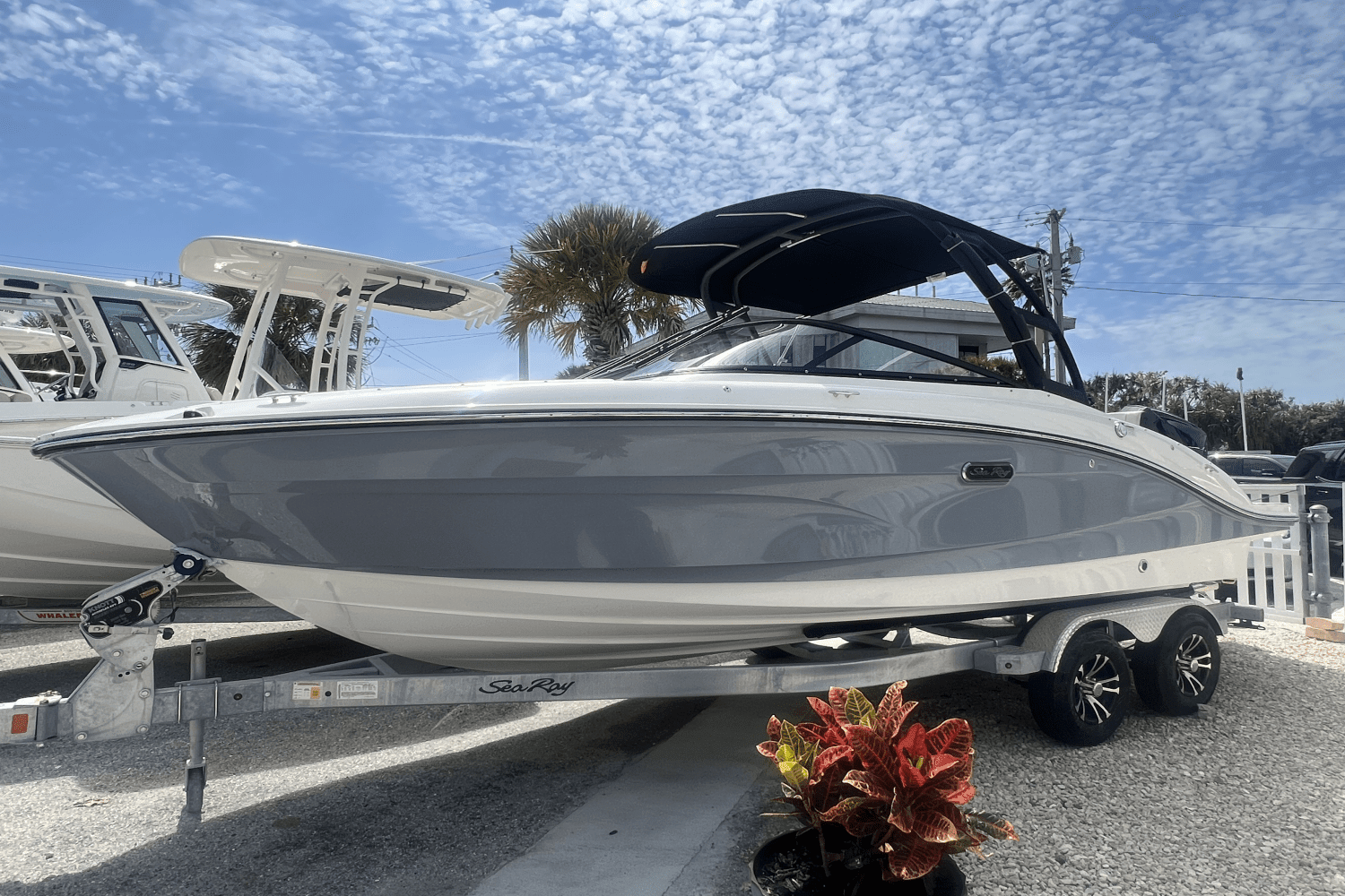 2024 Sea Ray SPX 210 Outboard