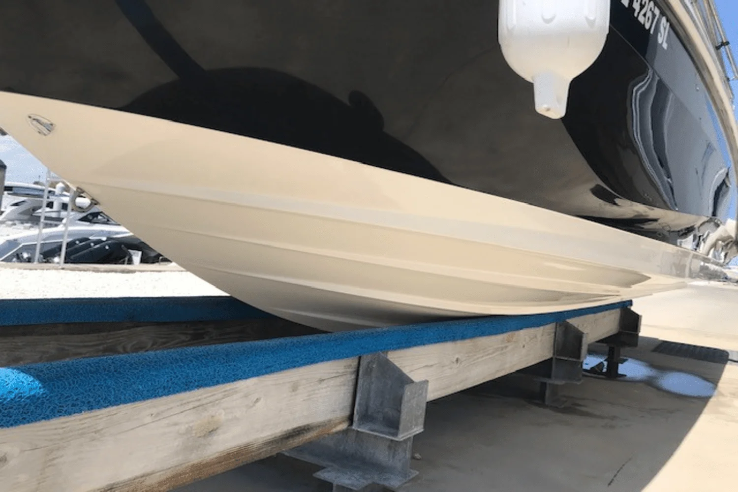 2019 Sea Ray 250SDX Image Thumbnail #12