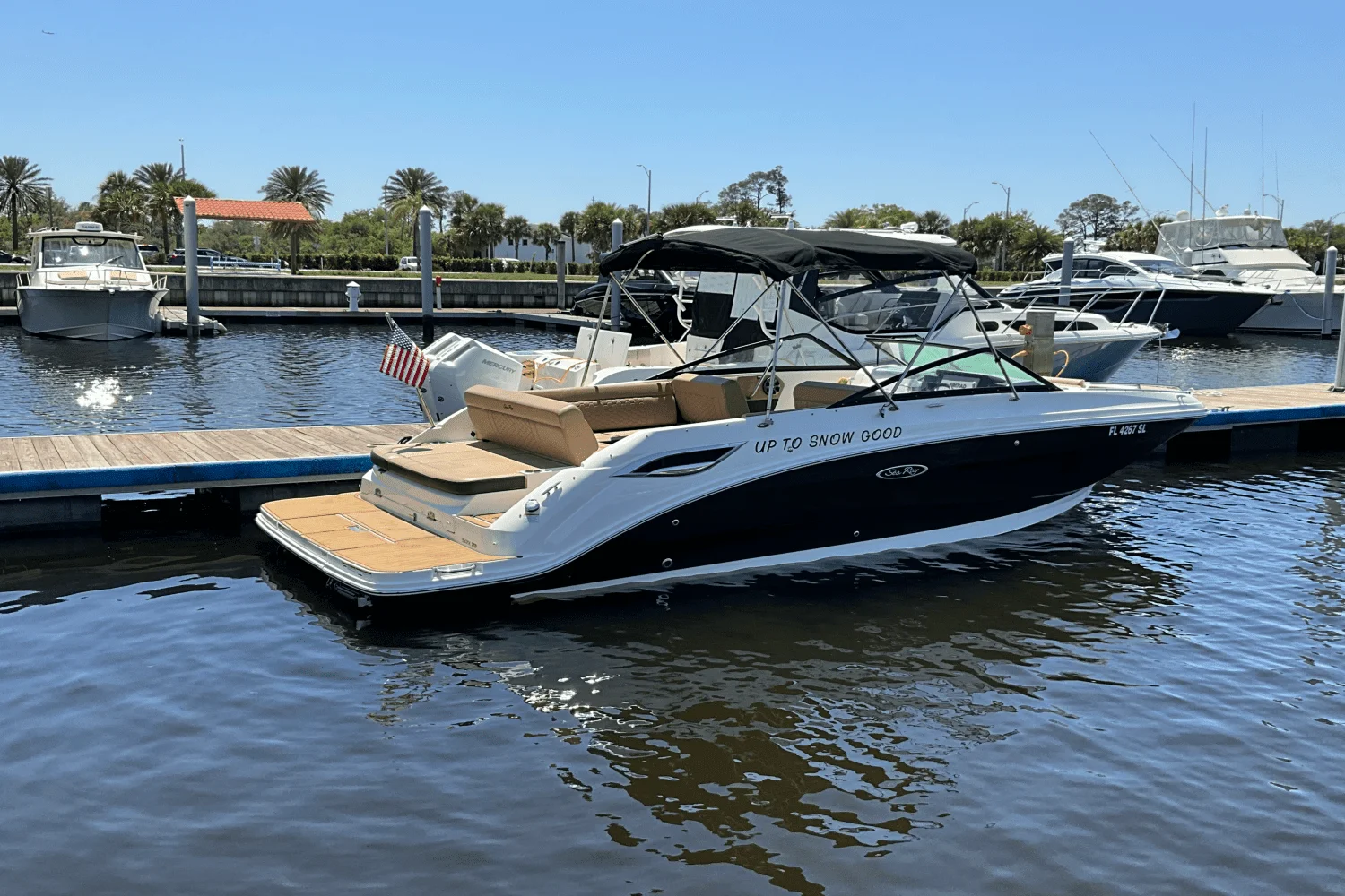 2019 Sea Ray 250SDX Image Thumbnail #3