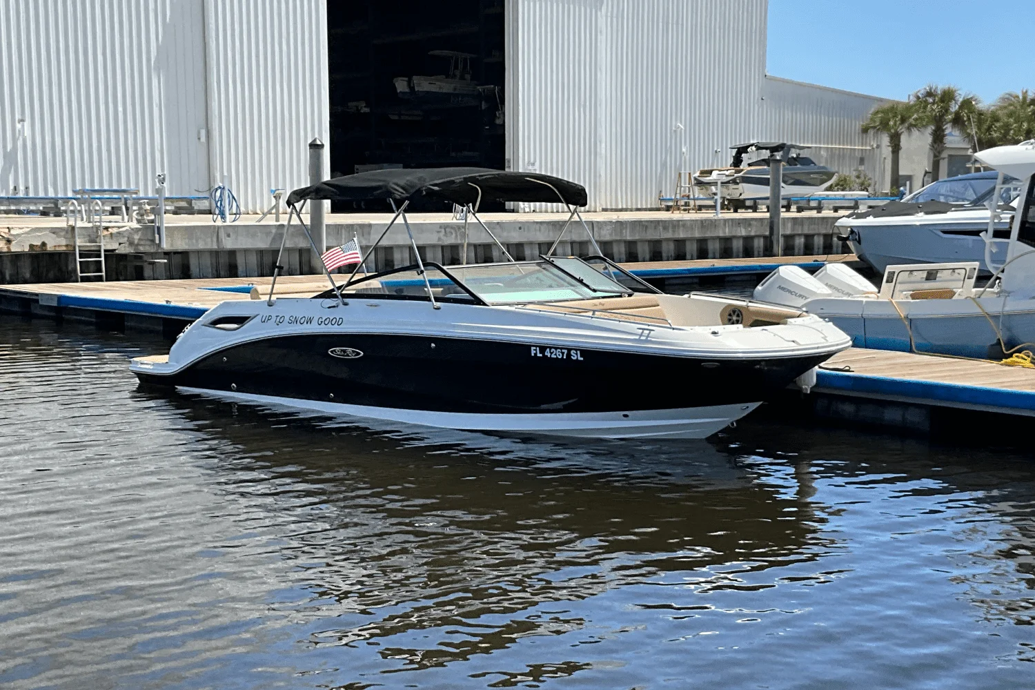 2019 Sea Ray 250SDX Image Thumbnail #4