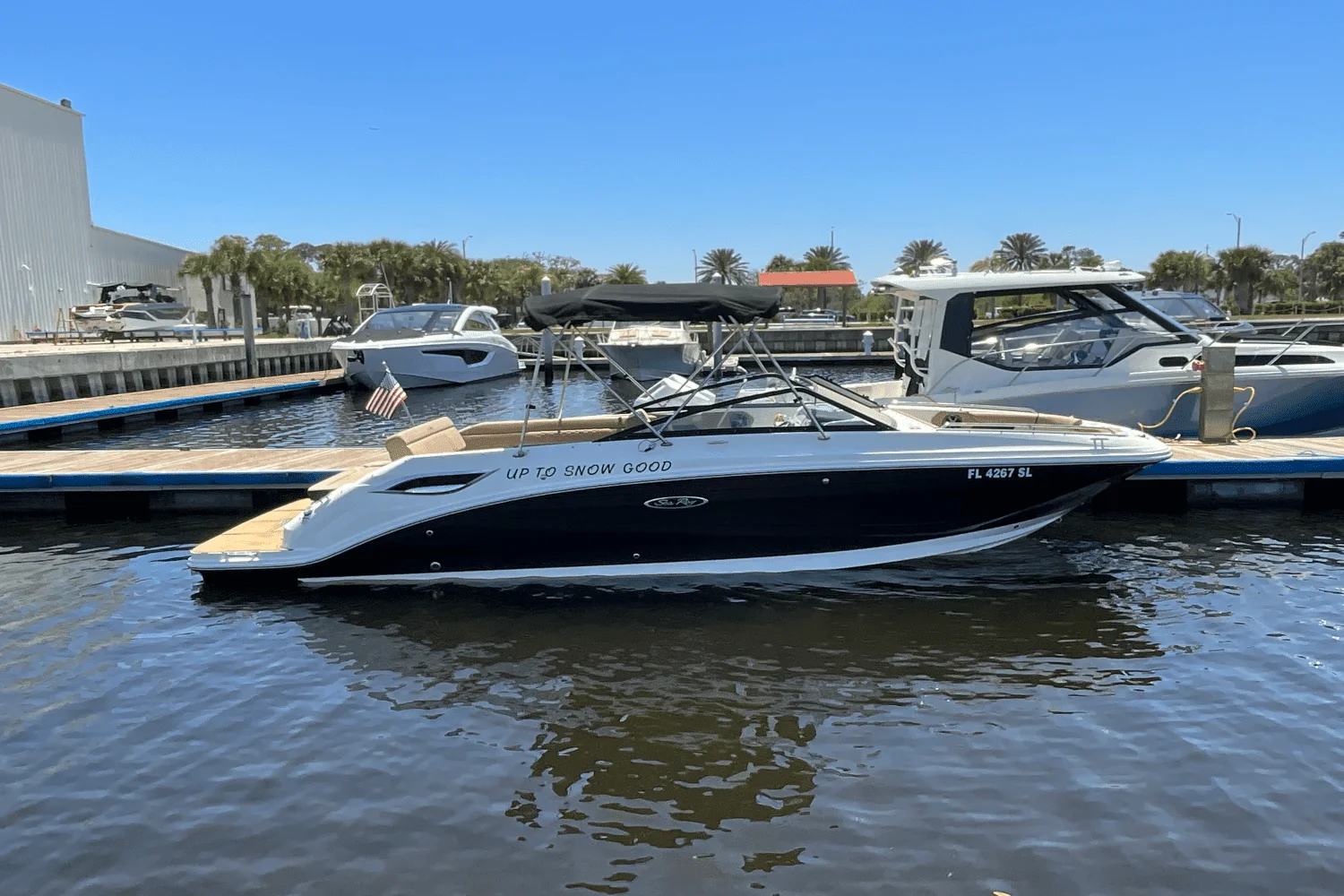 2019 Sea Ray 250SDX Image Thumbnail #1