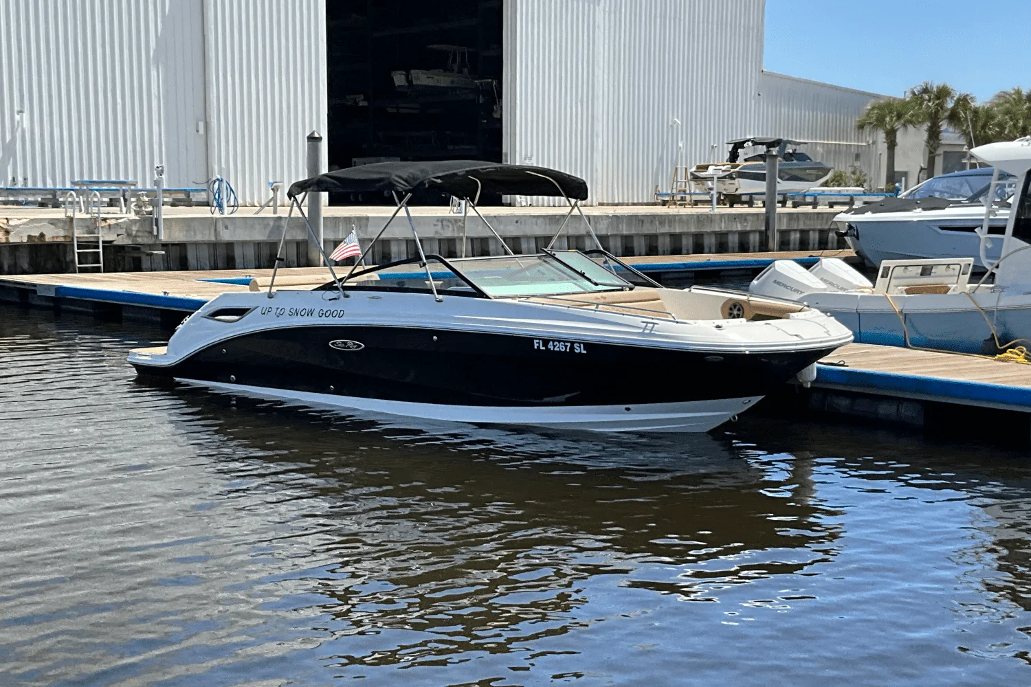 2019 Sea Ray 250SDX Image Thumbnail #2