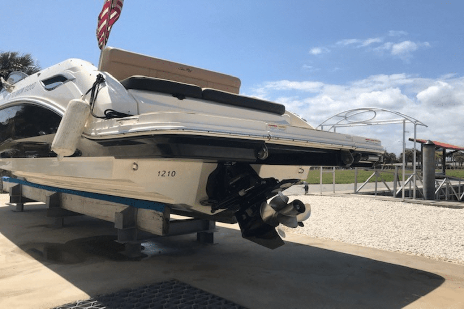 2019 Sea Ray 250SDX Image Thumbnail #9