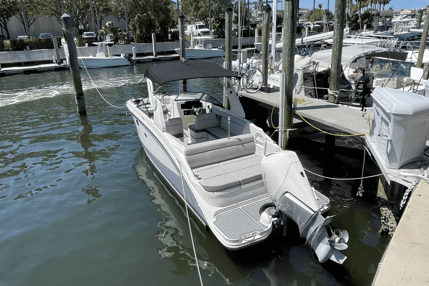 2020 Sea Ray 270 SDX OUTBOARD Image Thumbnail #3