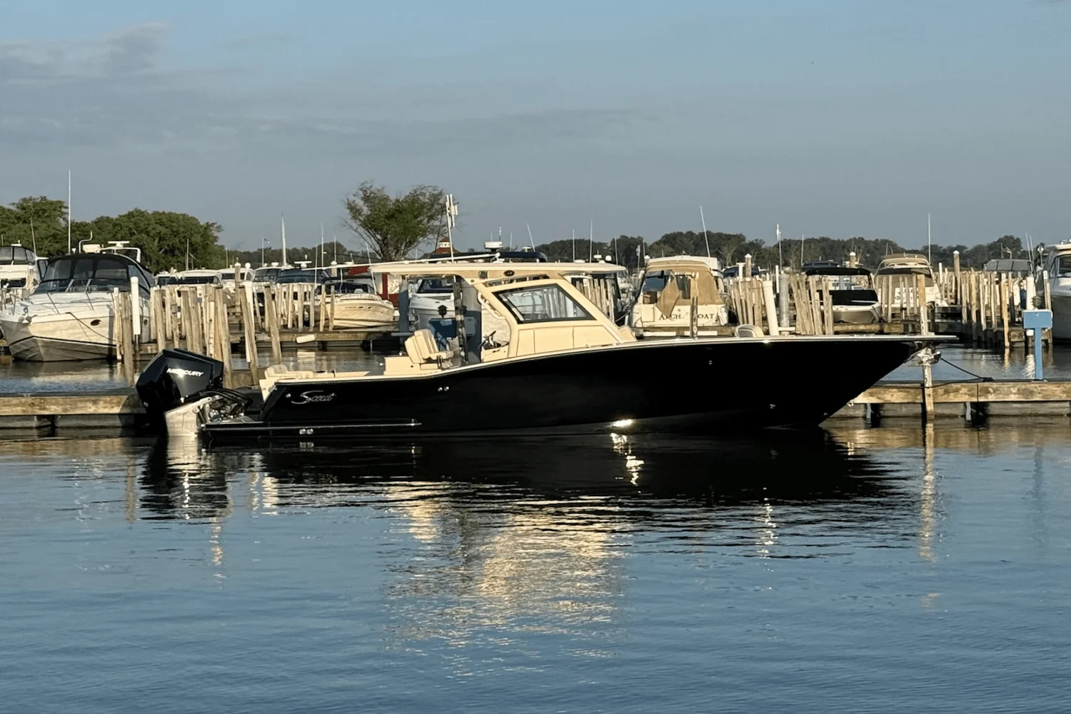 2025 Scout 305 LXF Image Thumbnail #0