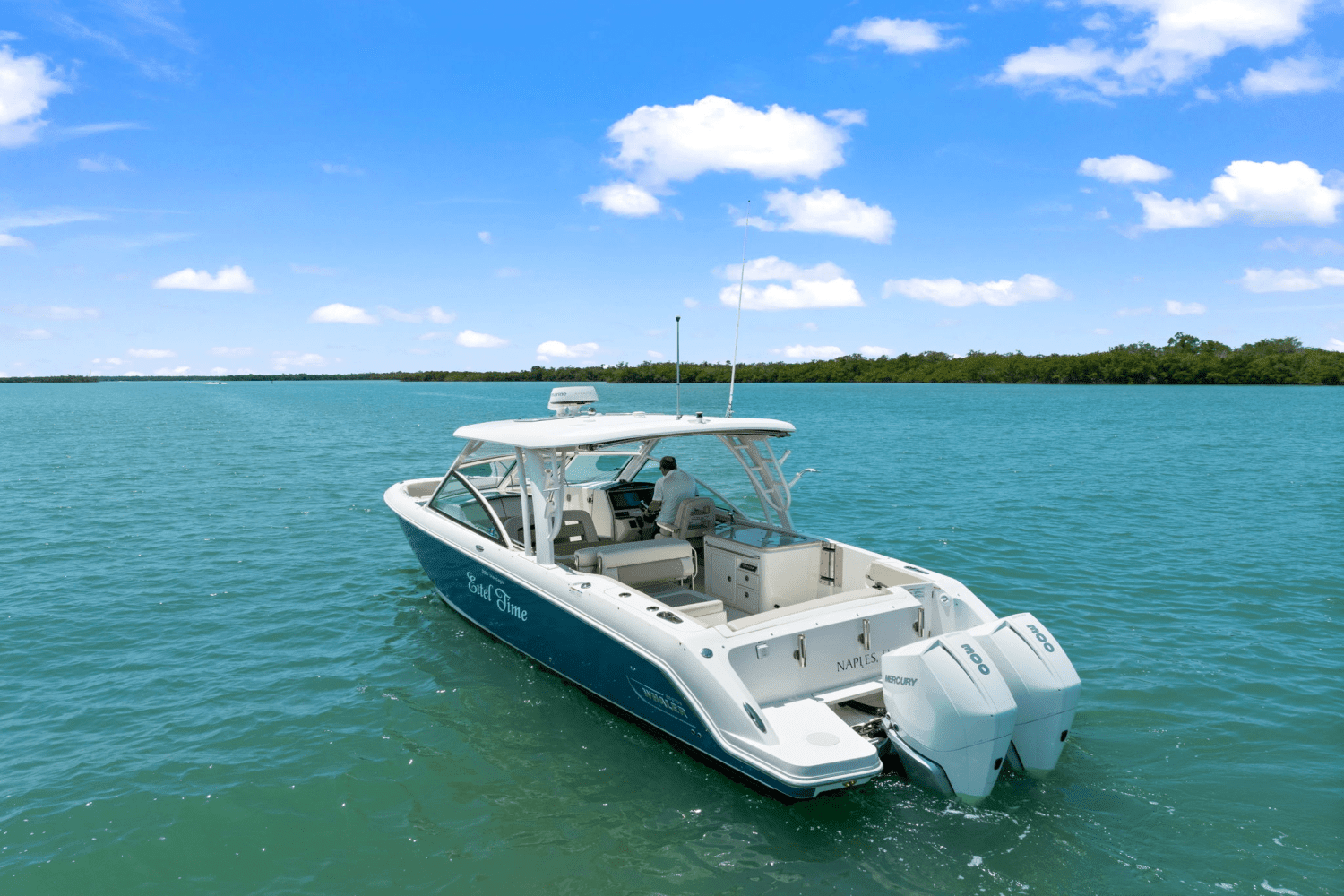 2019 Boston Whaler 320 VANTAGE Image Thumbnail #6