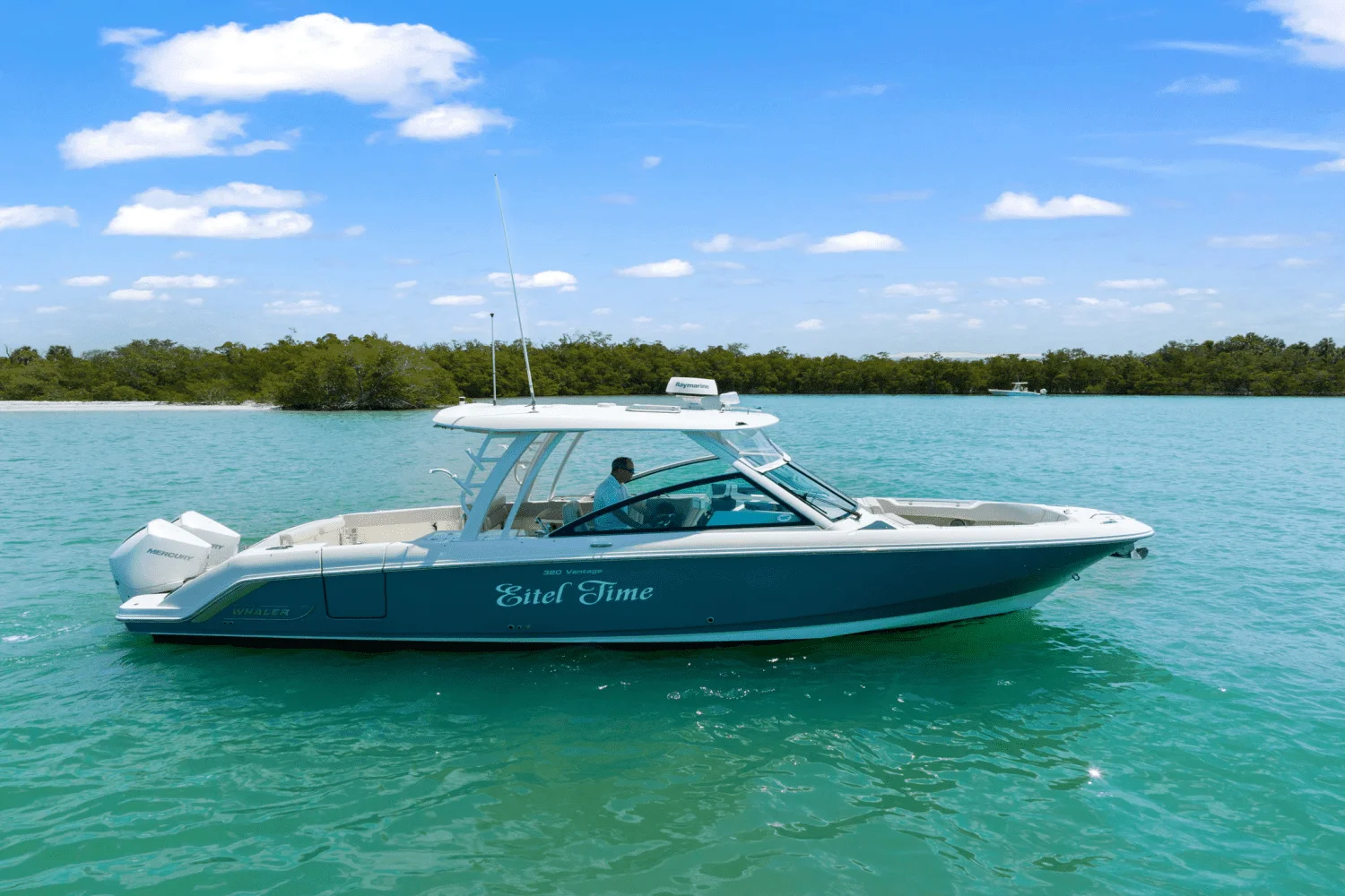 2019 Boston Whaler 320 VANTAGE Image Thumbnail #0