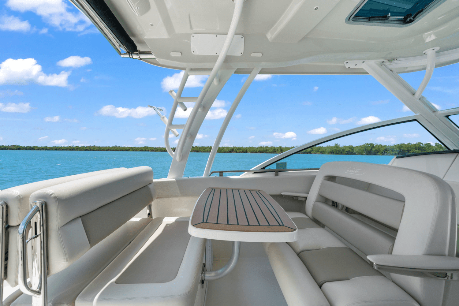 2019 Boston Whaler 320 VANTAGE Image Thumbnail #45