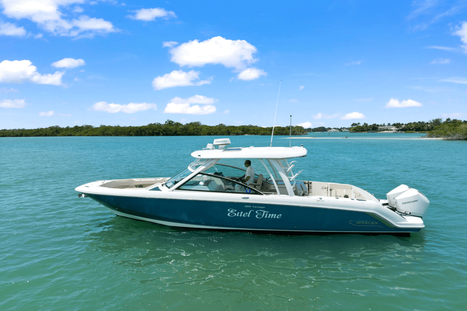 2019 Boston Whaler 320 VANTAGE Image Thumbnail #2