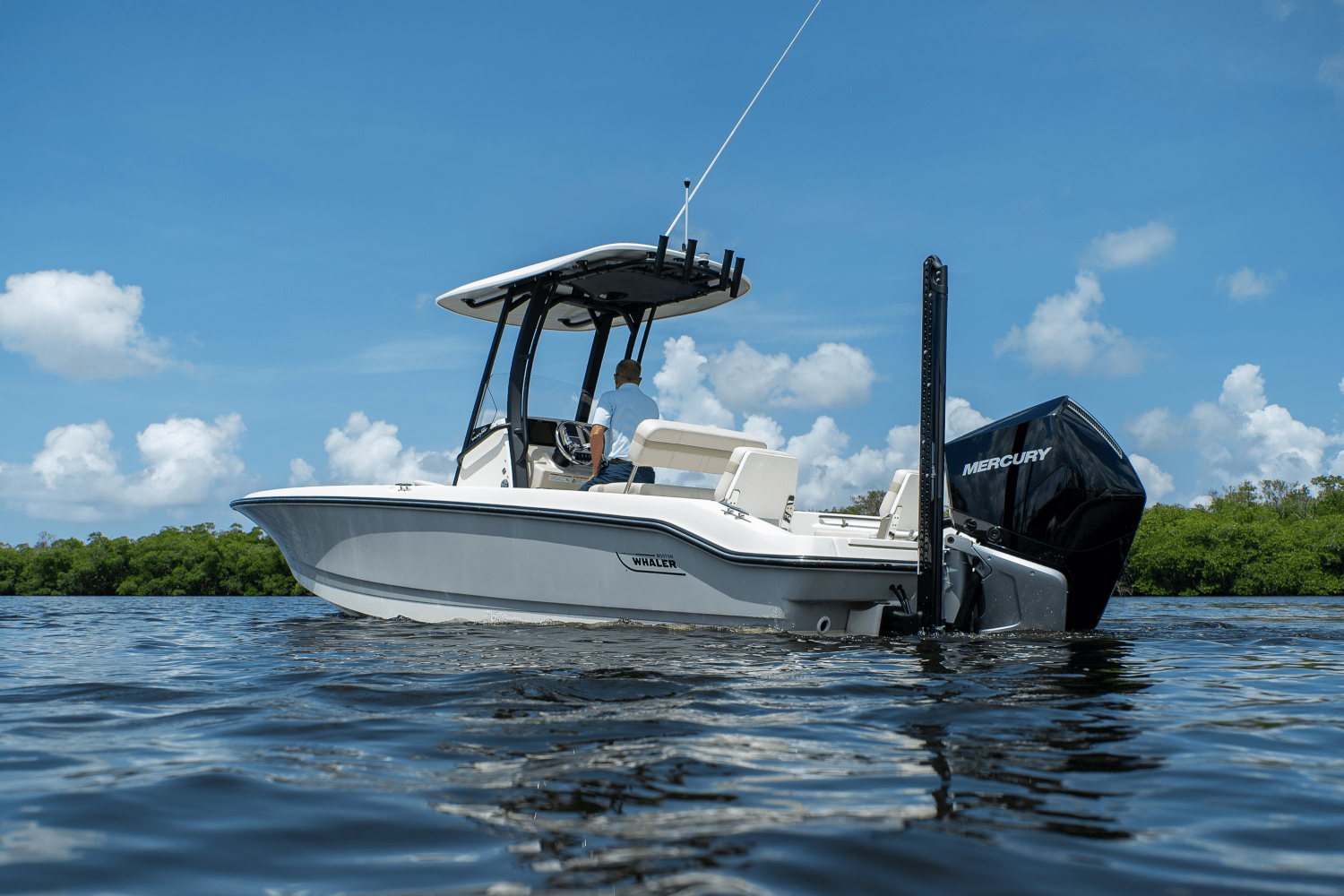 2025 Boston Whaler 250 Dauntless Image Thumbnail #1