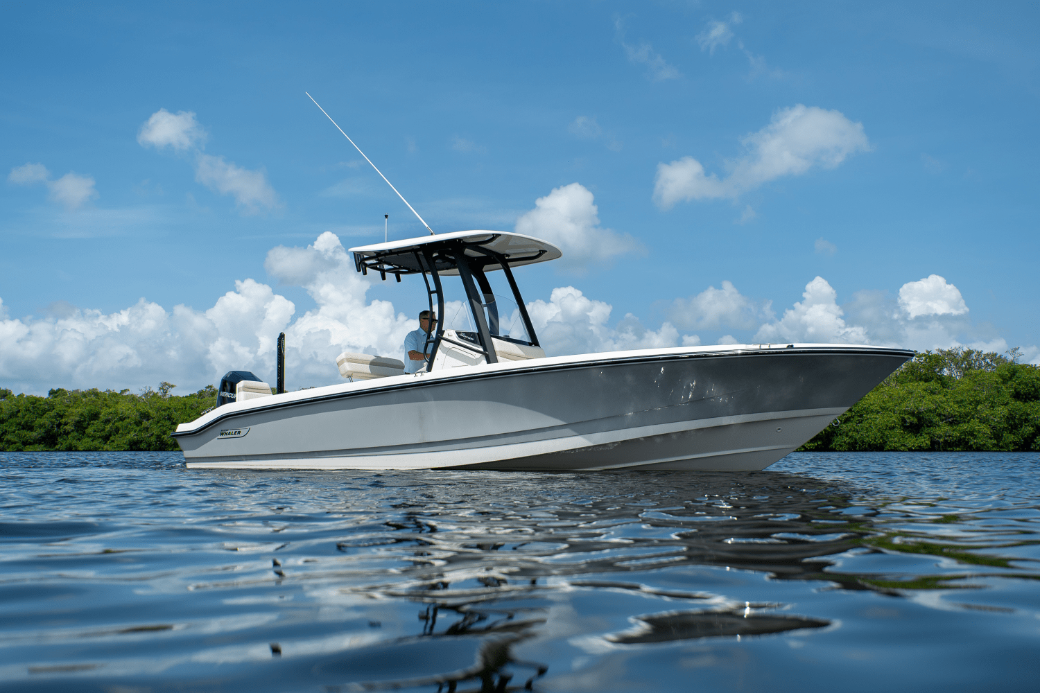 2025 Boston Whaler 250 Dauntless Image Thumbnail #0