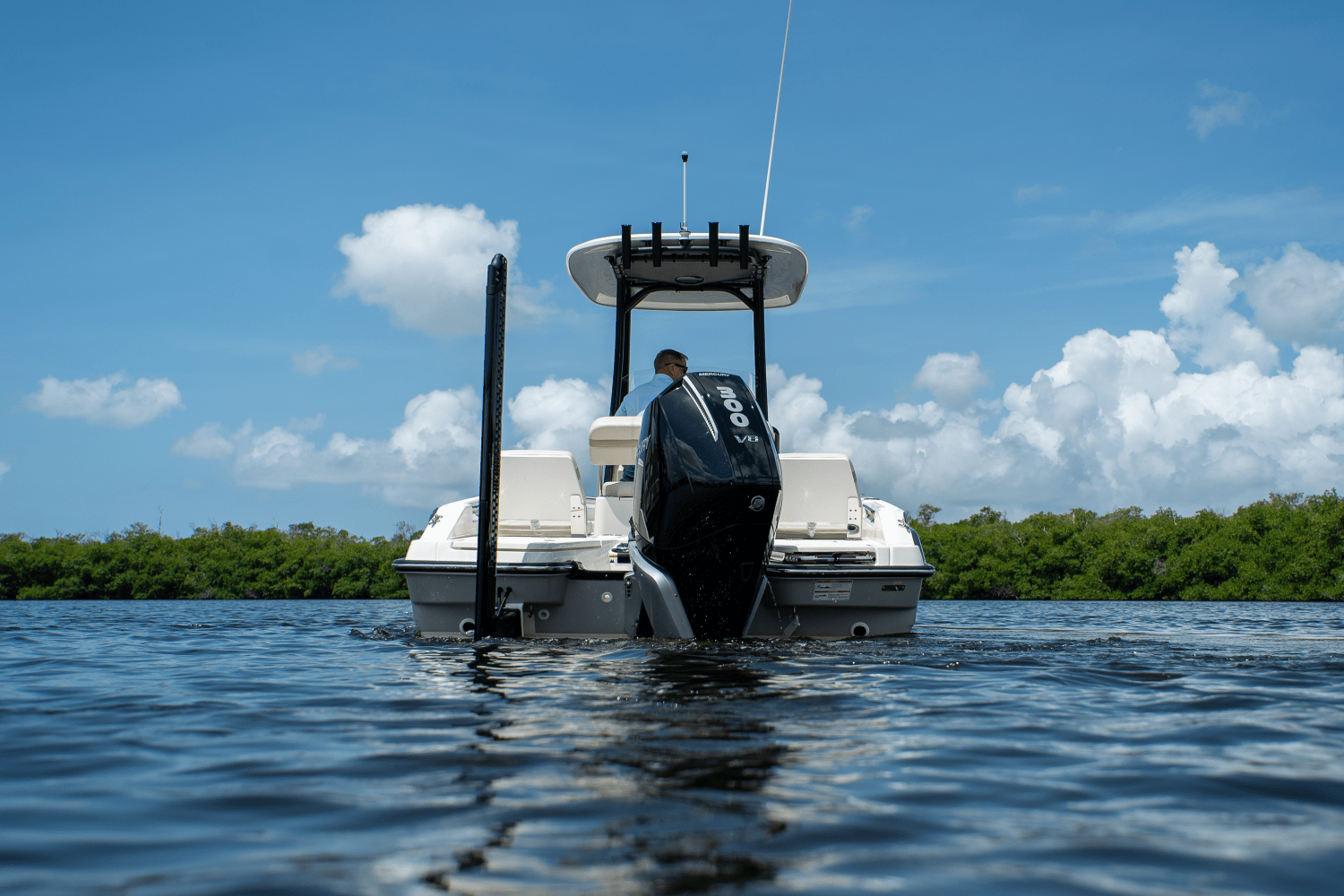 2025 Boston Whaler 250 Dauntless Image Thumbnail #29