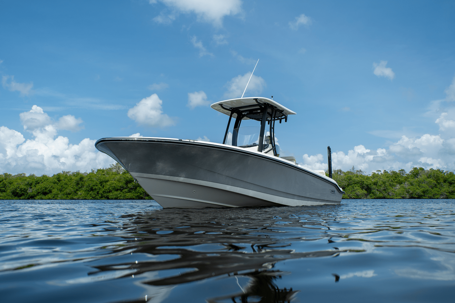 2025 Boston Whaler 250 Dauntless Image Thumbnail #22