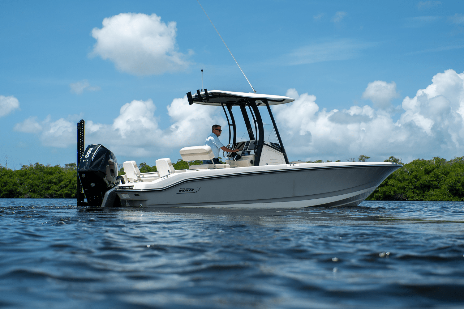 2025 Boston Whaler 250 Dauntless Image Thumbnail #3