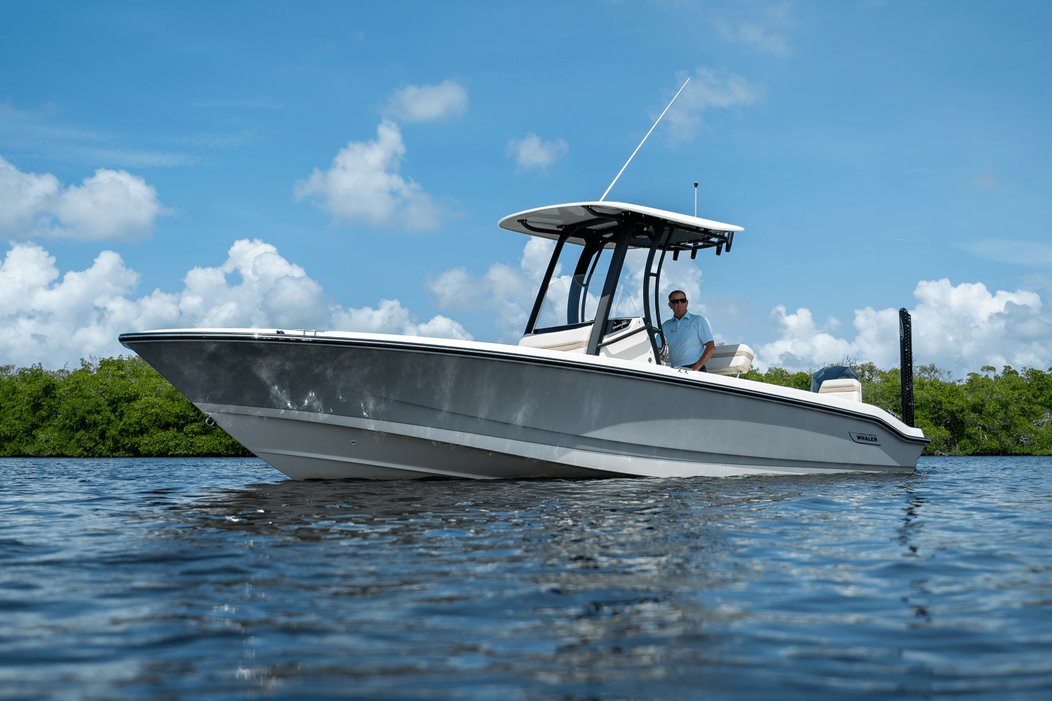 2025 Boston Whaler 250 Dauntless Image Thumbnail #2