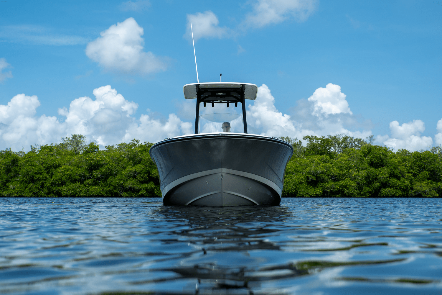 2025 Boston Whaler 250 Dauntless Image Thumbnail #20