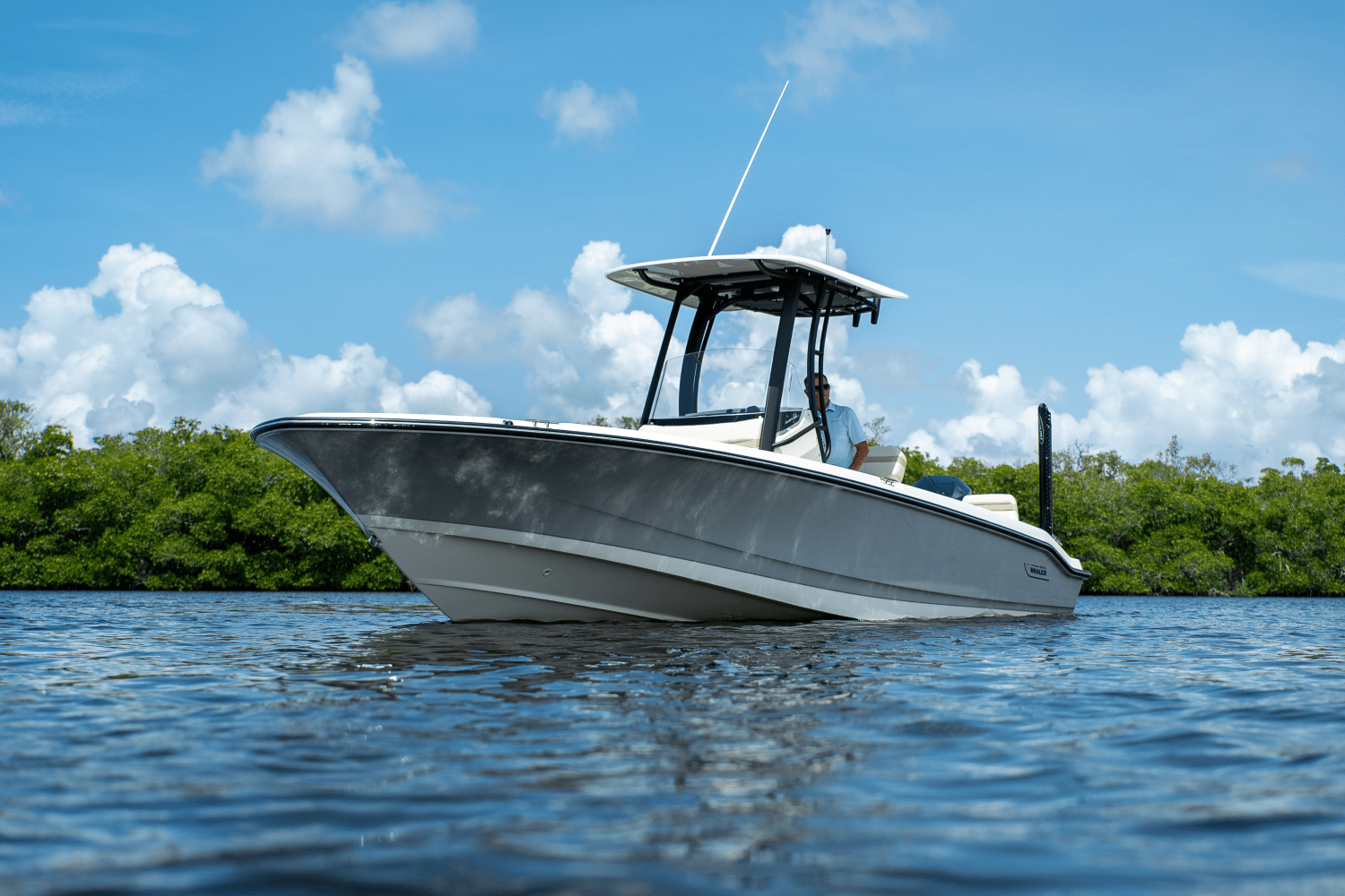2025 Boston Whaler 250 Dauntless Image Thumbnail #25