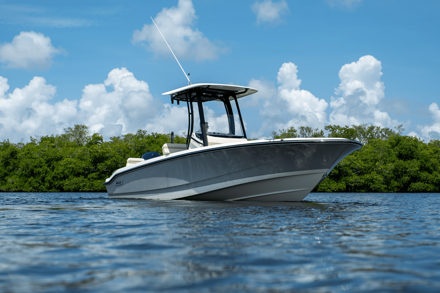 2025 Boston Whaler 250 Dauntless Image Thumbnail #24