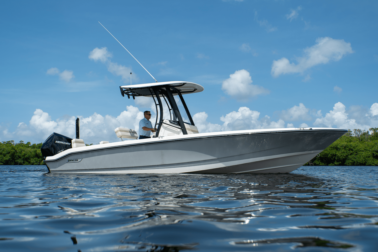 2025 Boston Whaler 250 Dauntless Image Thumbnail #17