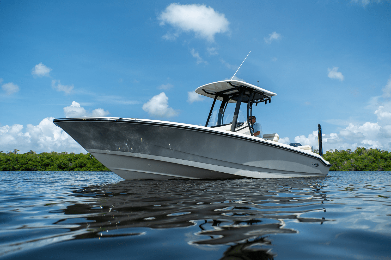 2025 Boston Whaler 250 Dauntless Image Thumbnail #23