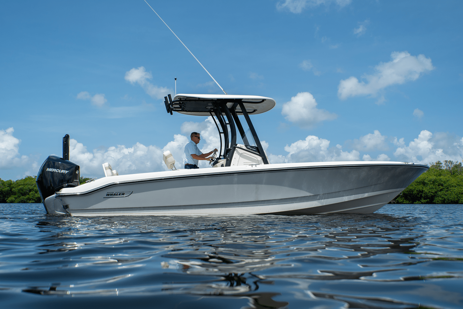 2025 Boston Whaler 250 Dauntless Image Thumbnail #16