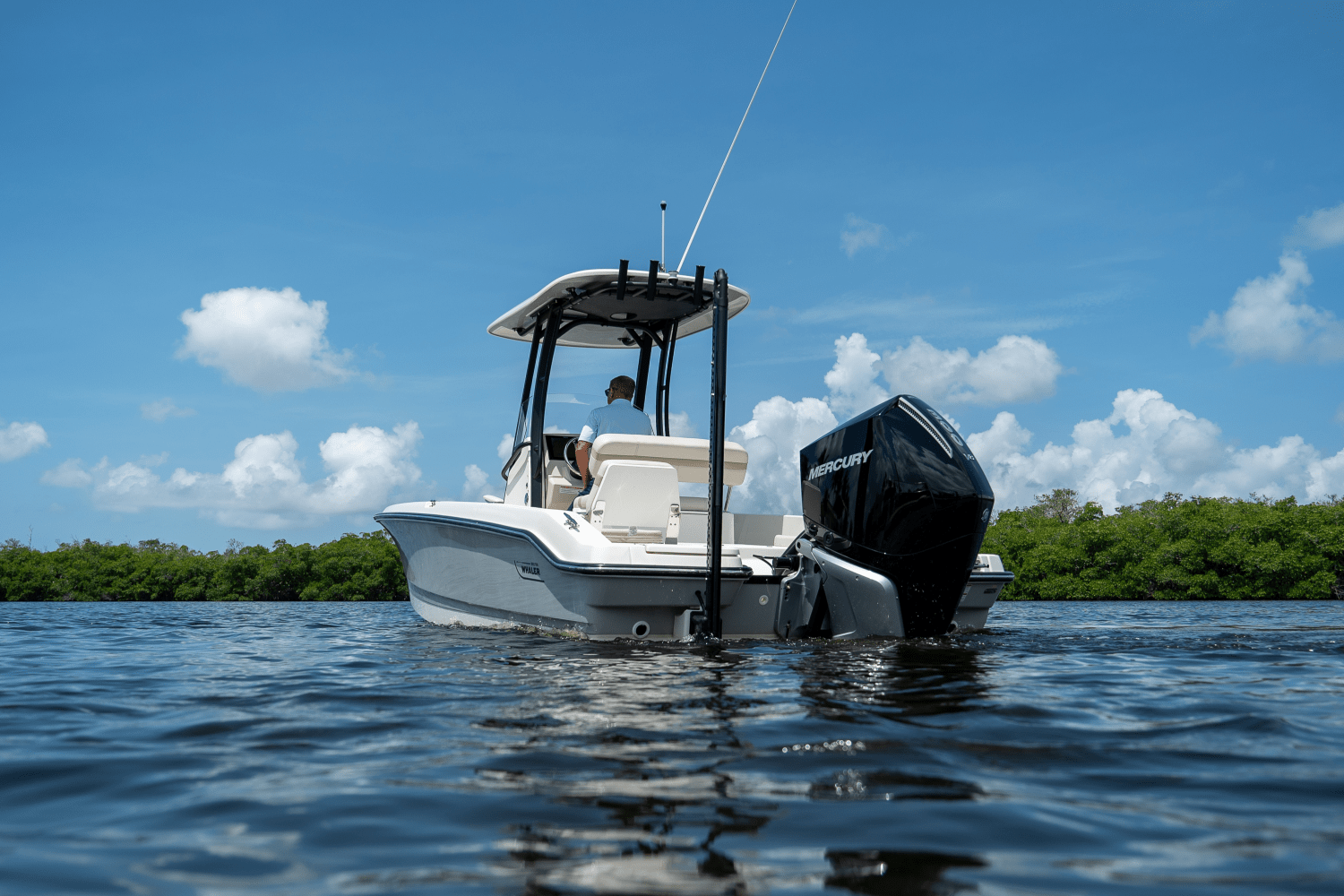 2025 Boston Whaler 250 Dauntless Image Thumbnail #28