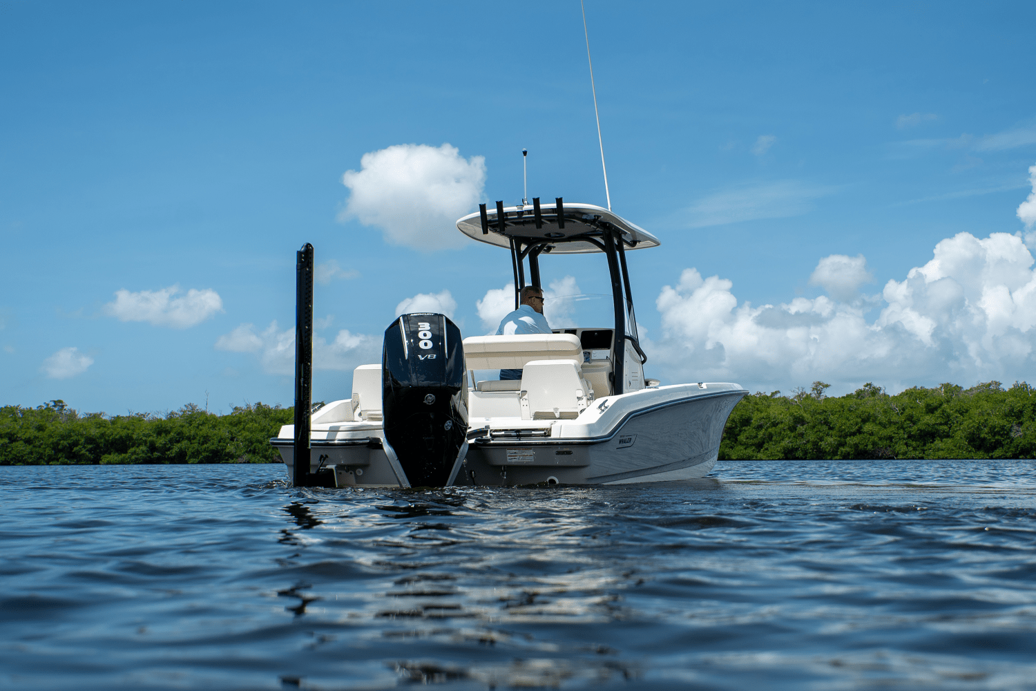 2025 Boston Whaler 250 Dauntless Image Thumbnail #30